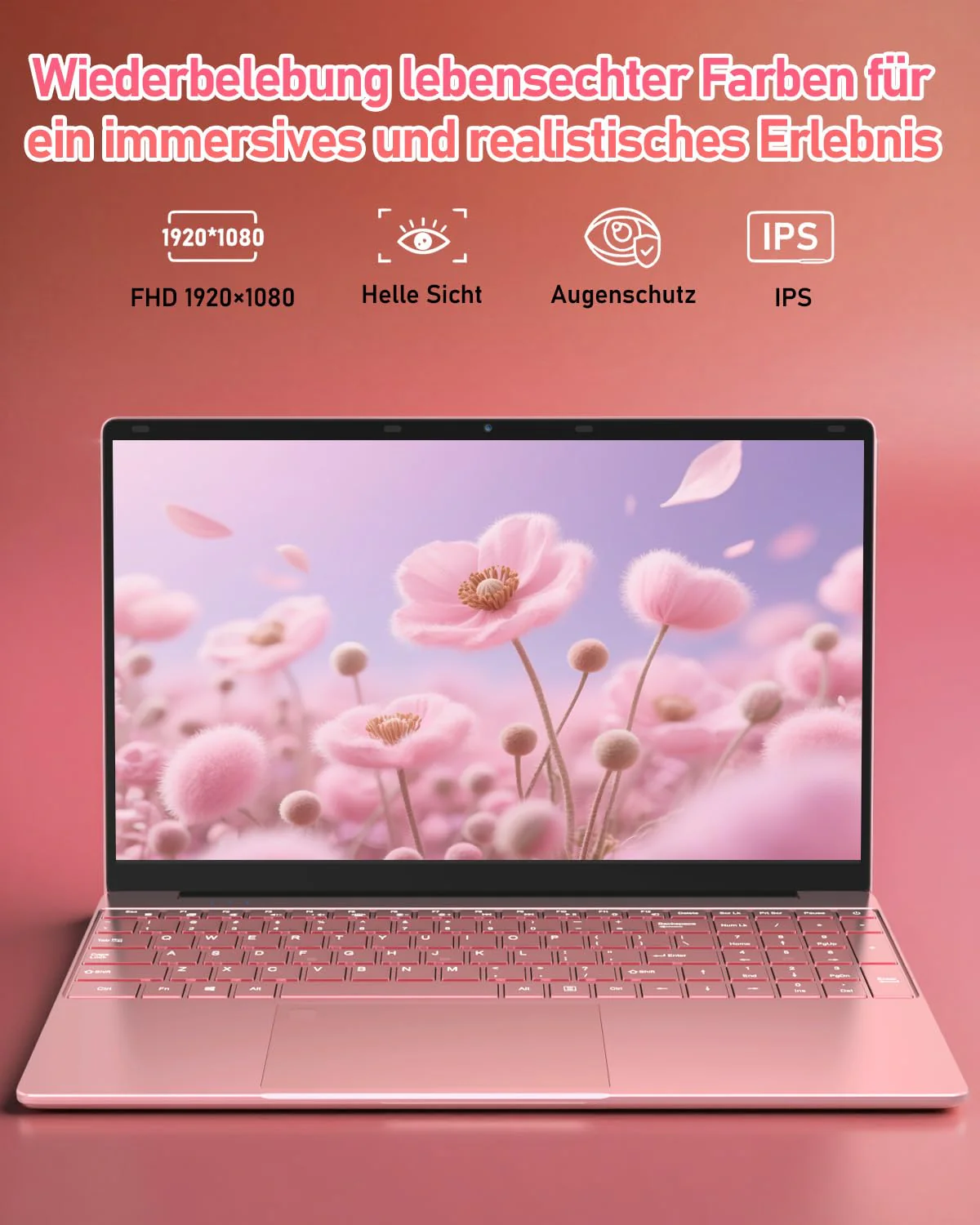 Vorschaubild 6
