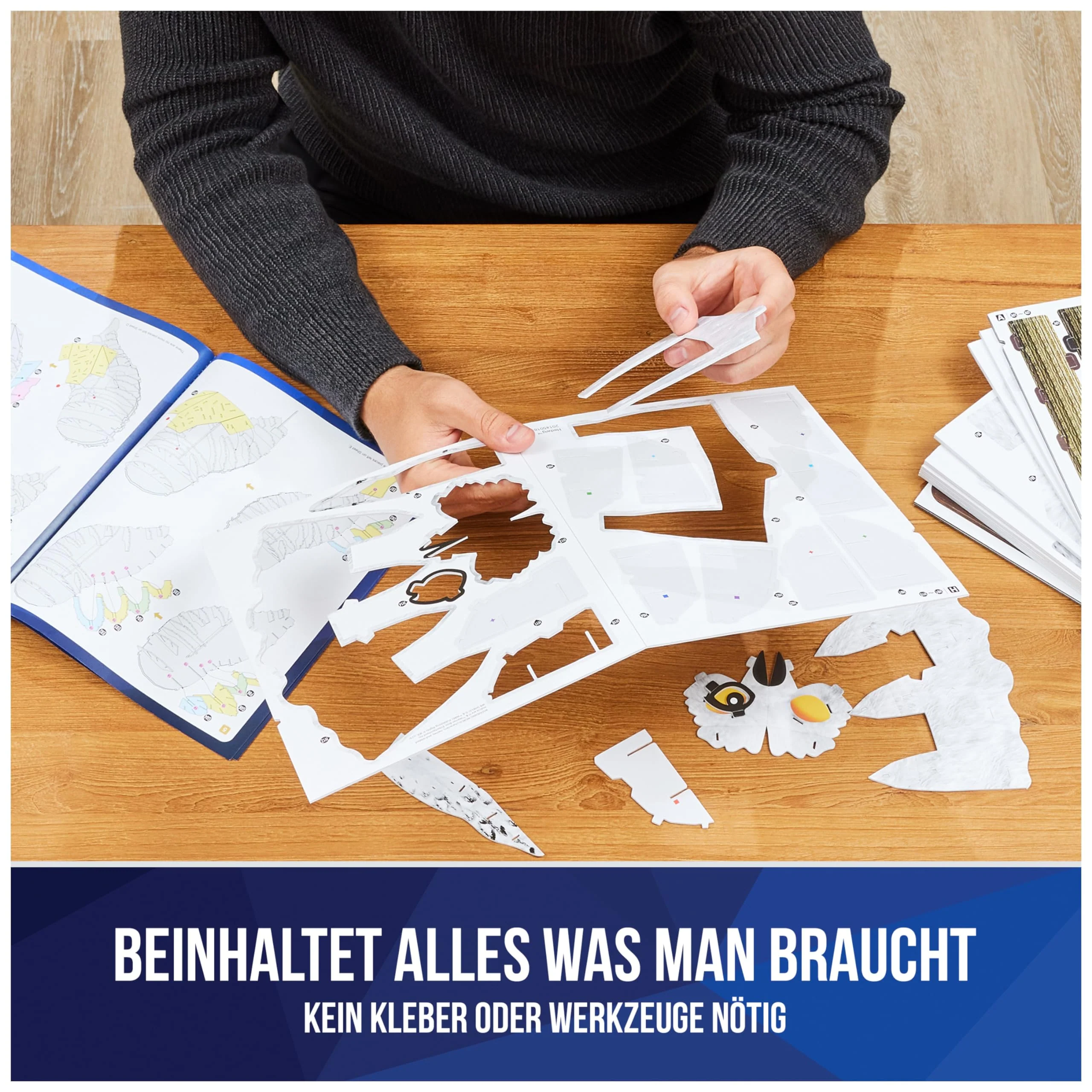 Vorschaubild 12