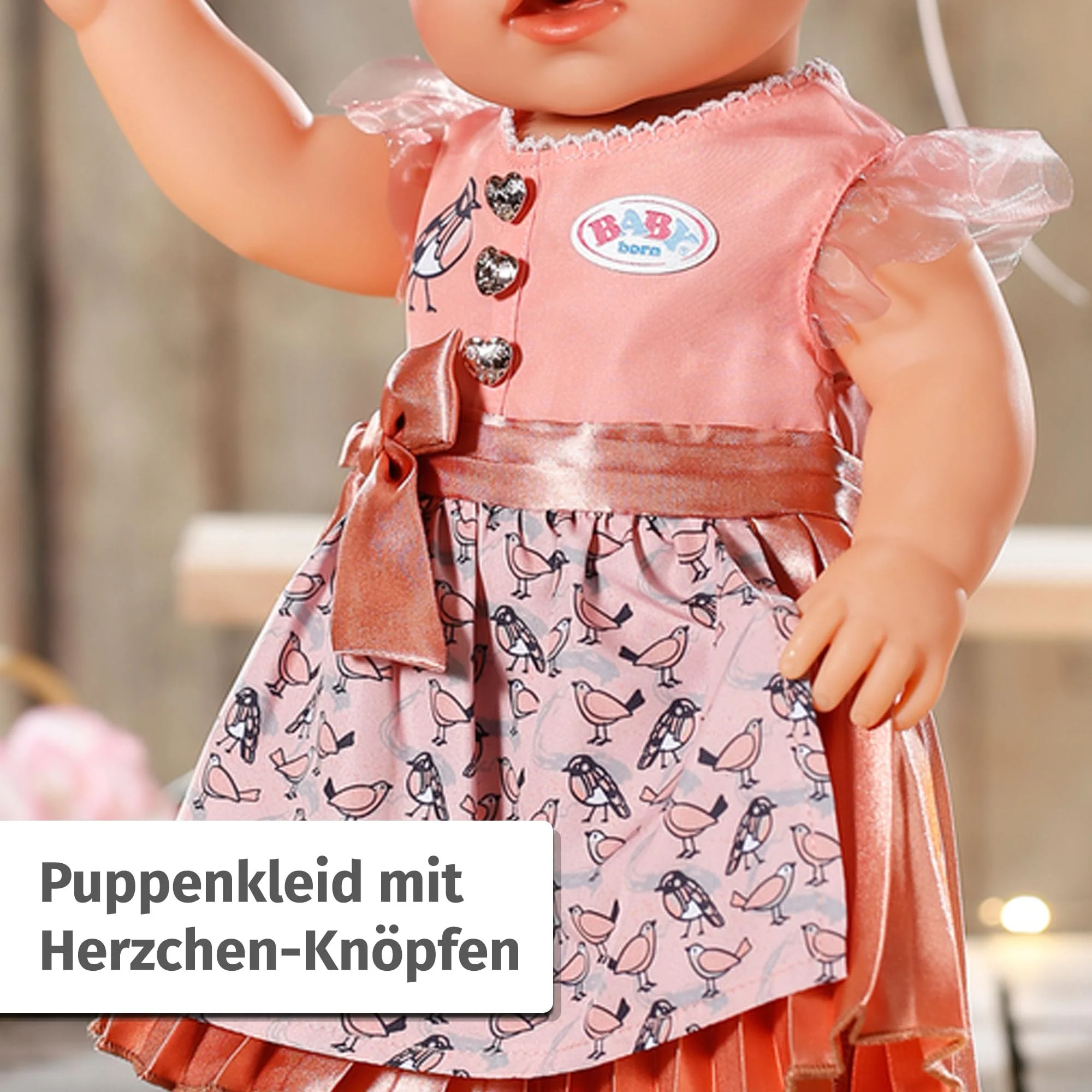 Vorschaubild 5