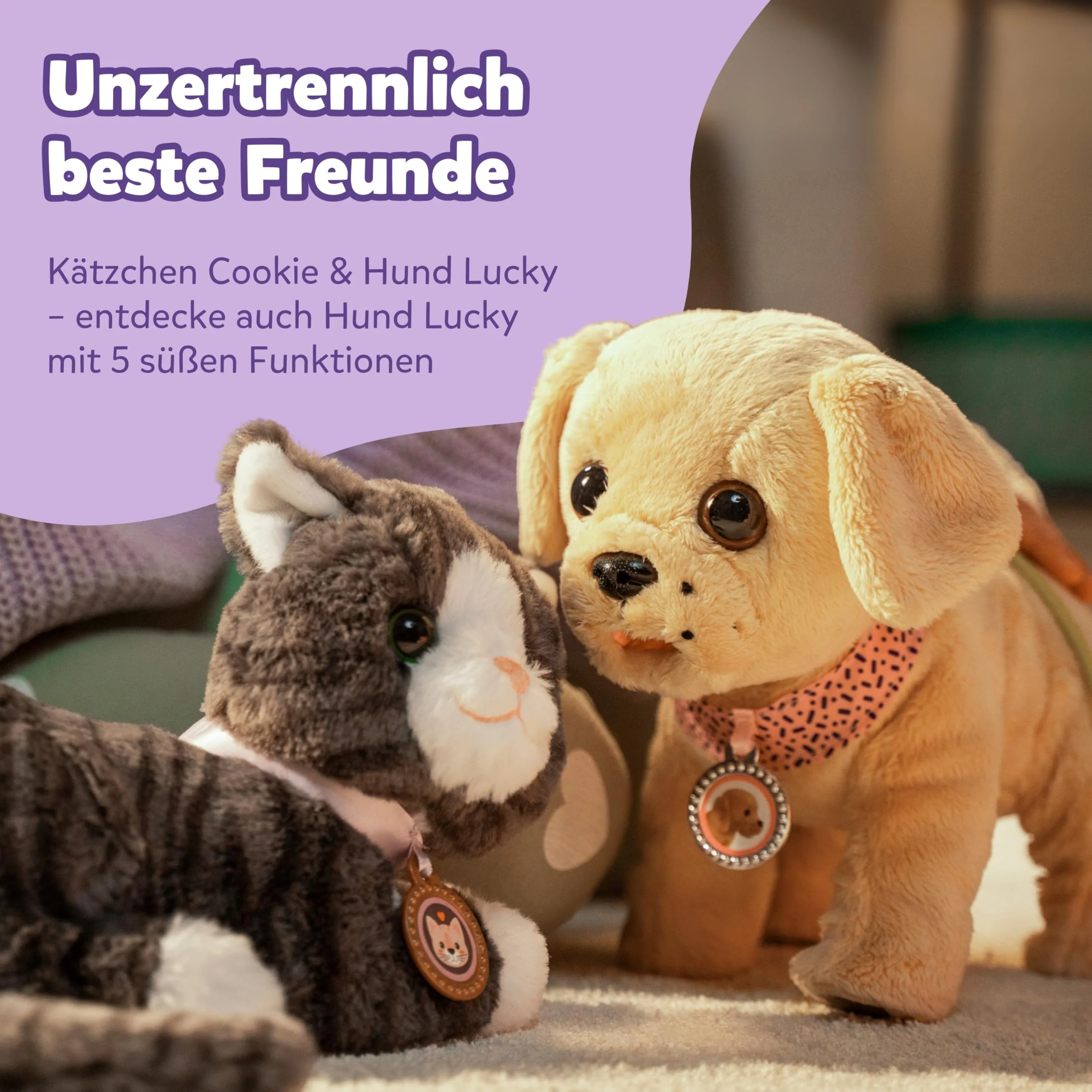 Vorschaubild 3