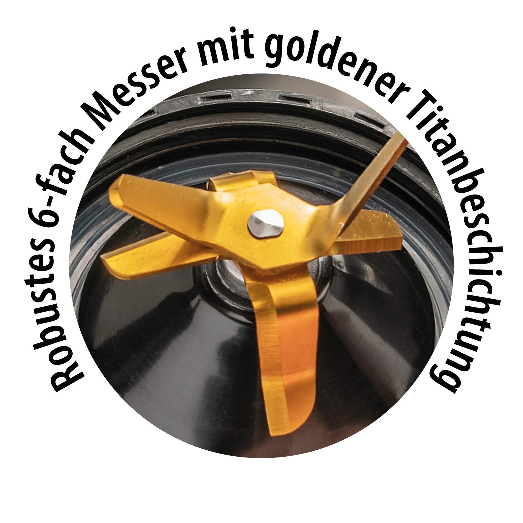 Vorschaubild 10