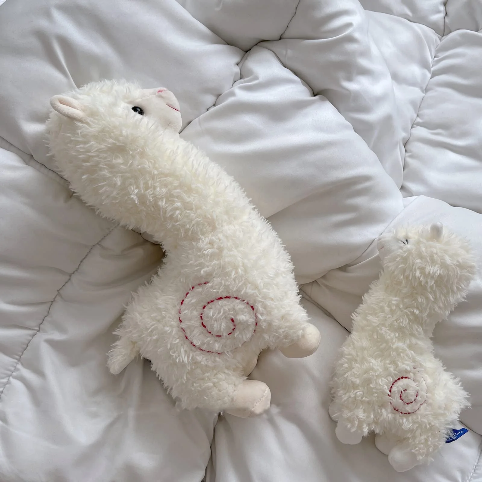Vorschaubild 5