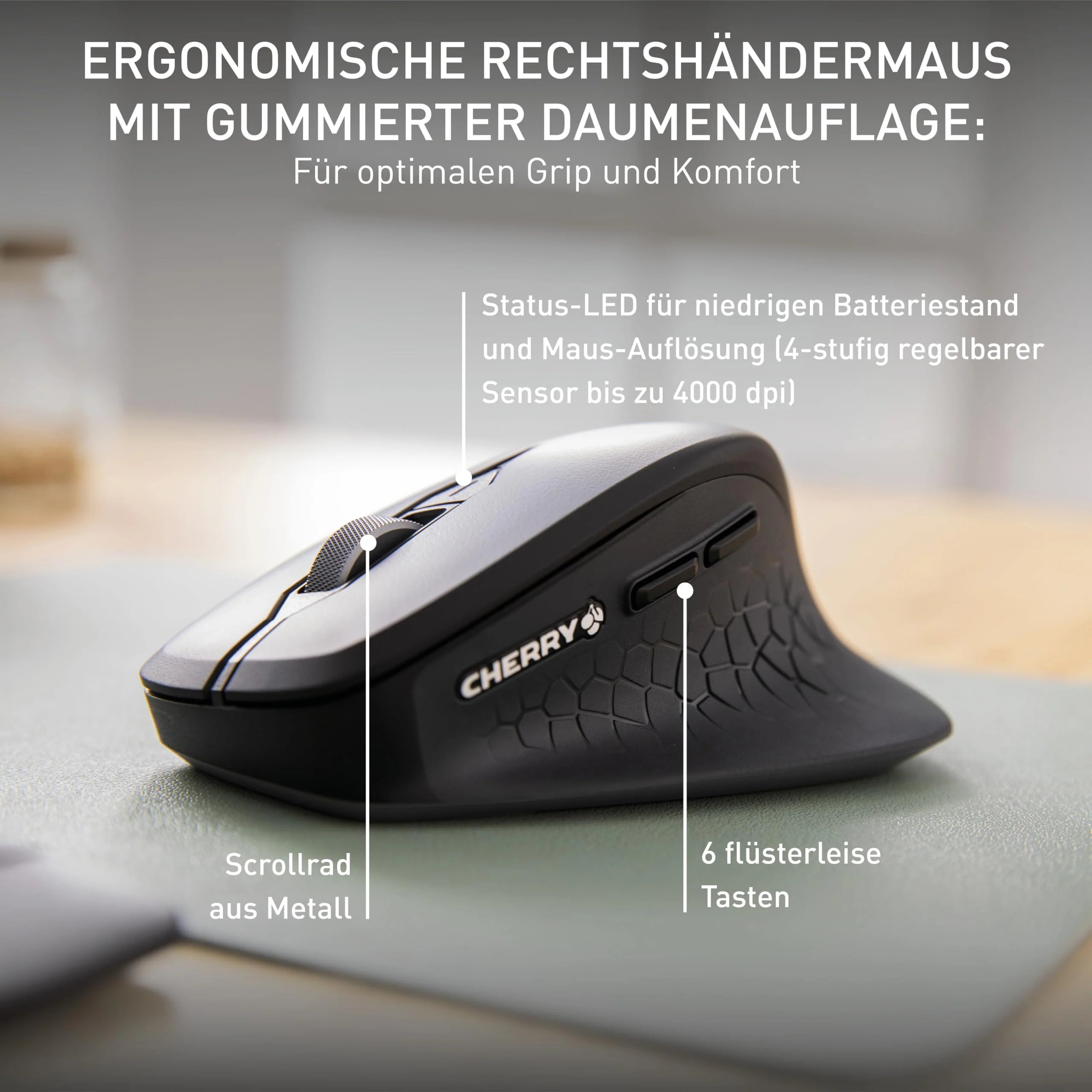 Vorschaubild 8
