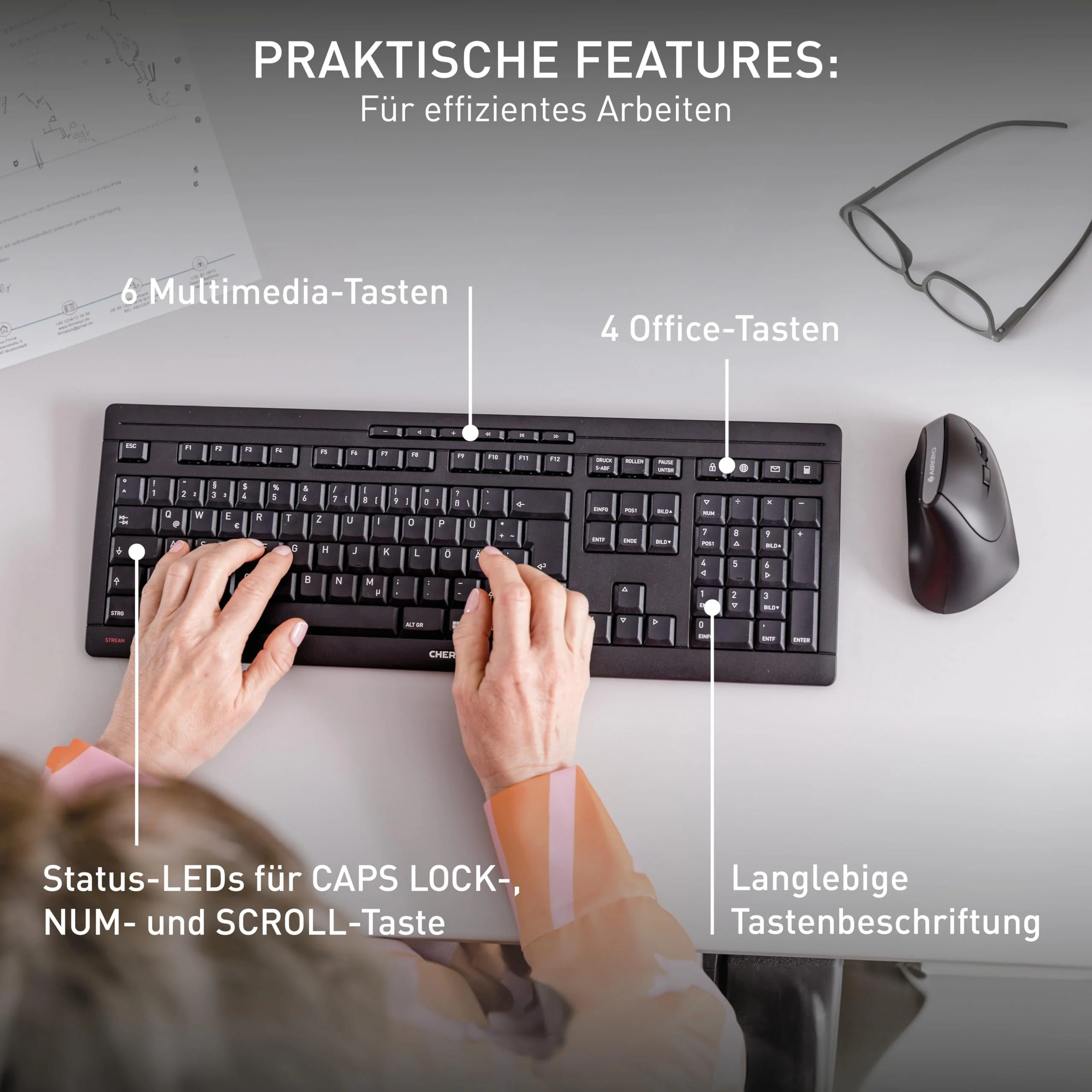 Vorschaubild 12