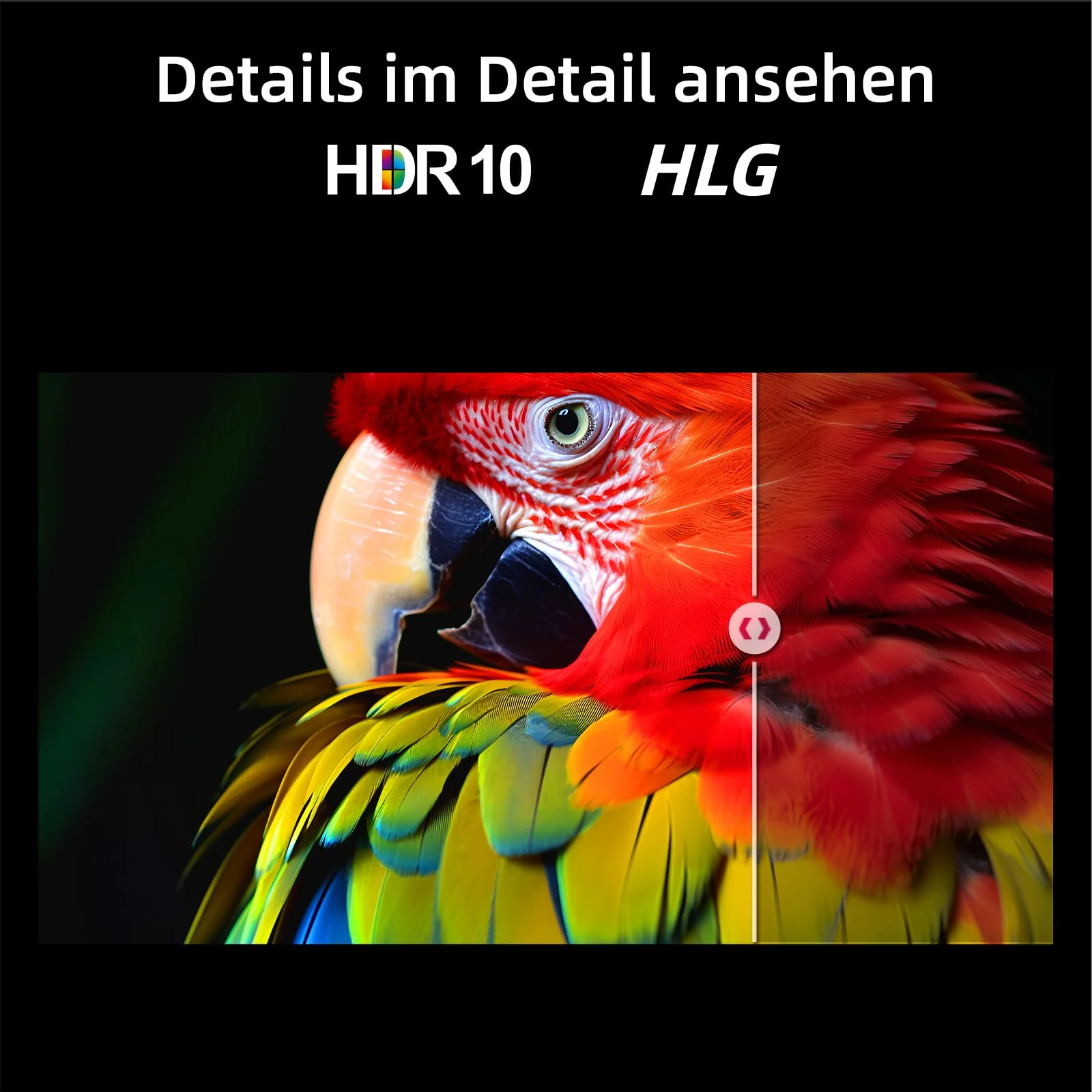 Vorschaubild 8
