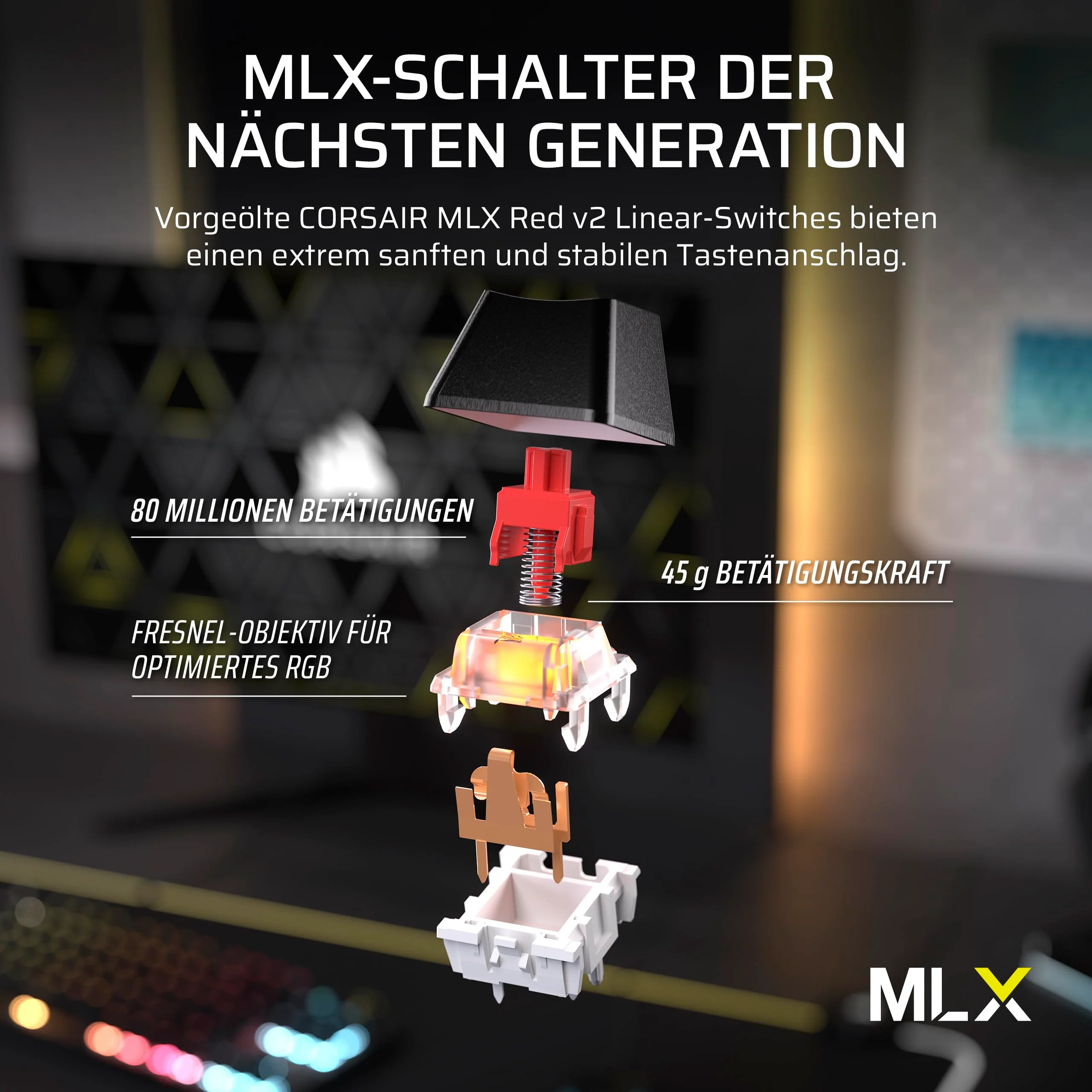 Vorschaubild 8