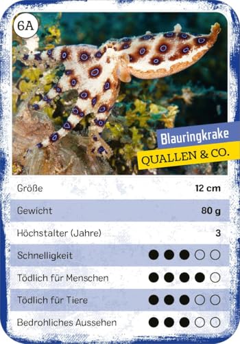 Vorschaubild 5