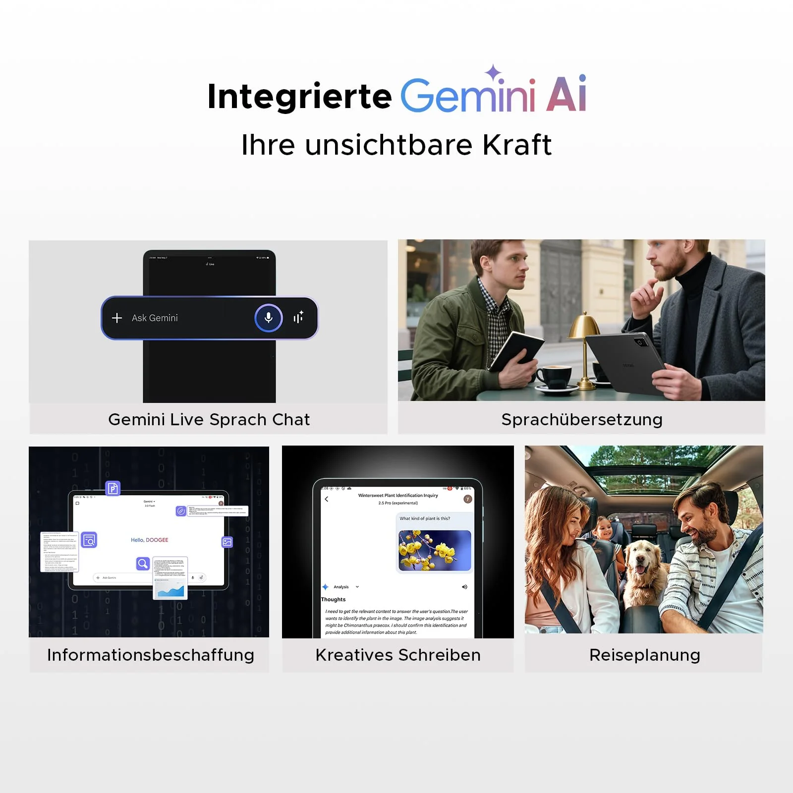 Vorschaubild 6