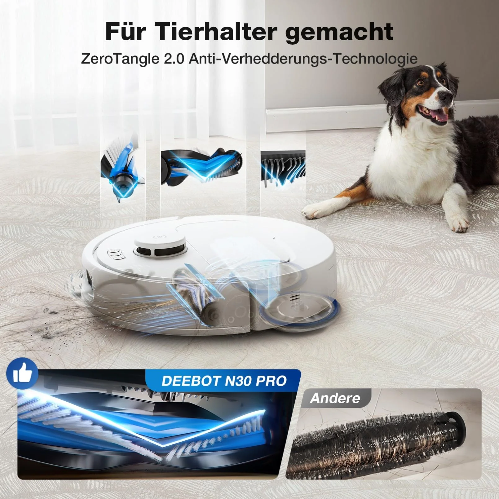 Vorschaubild 5