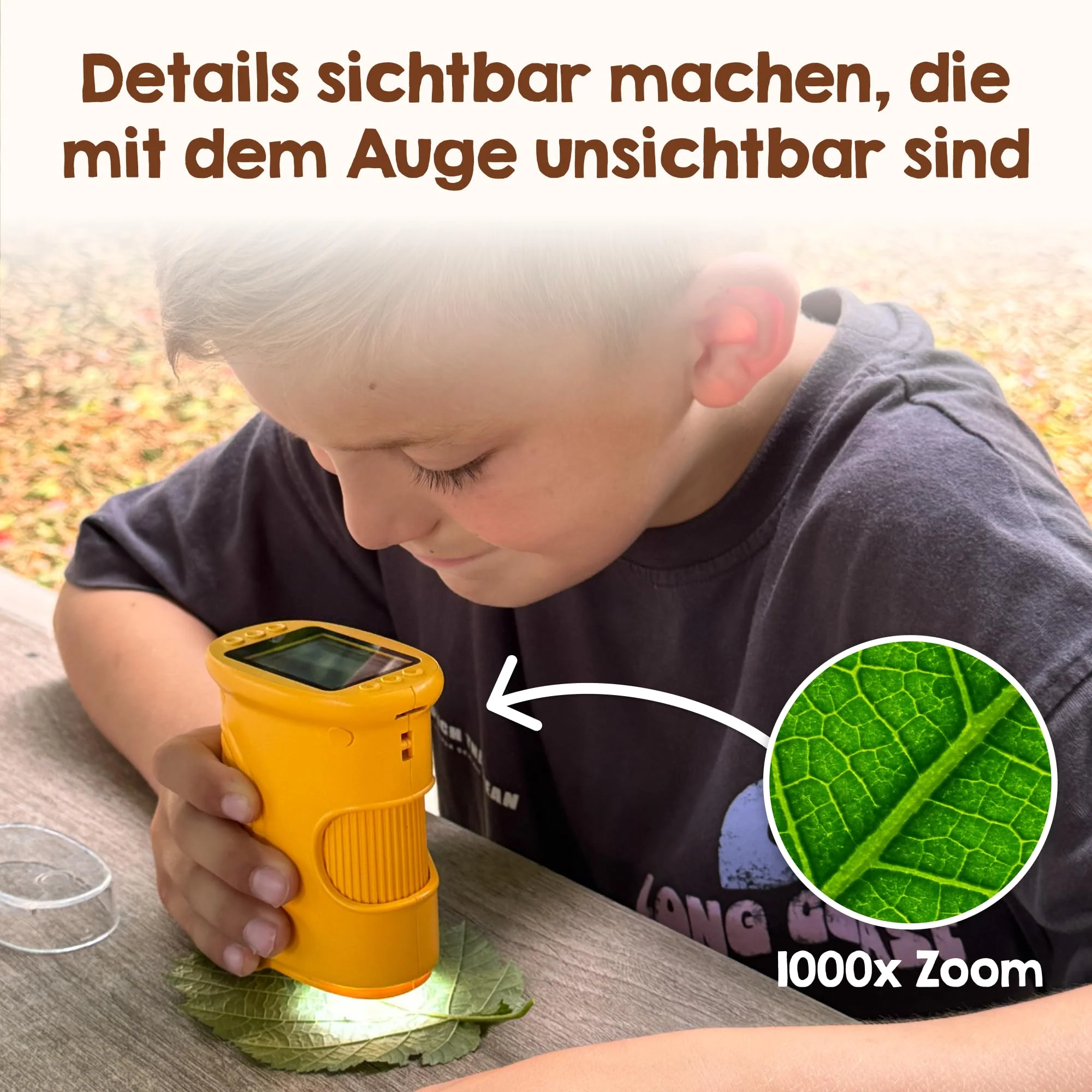 Vorschaubild 6