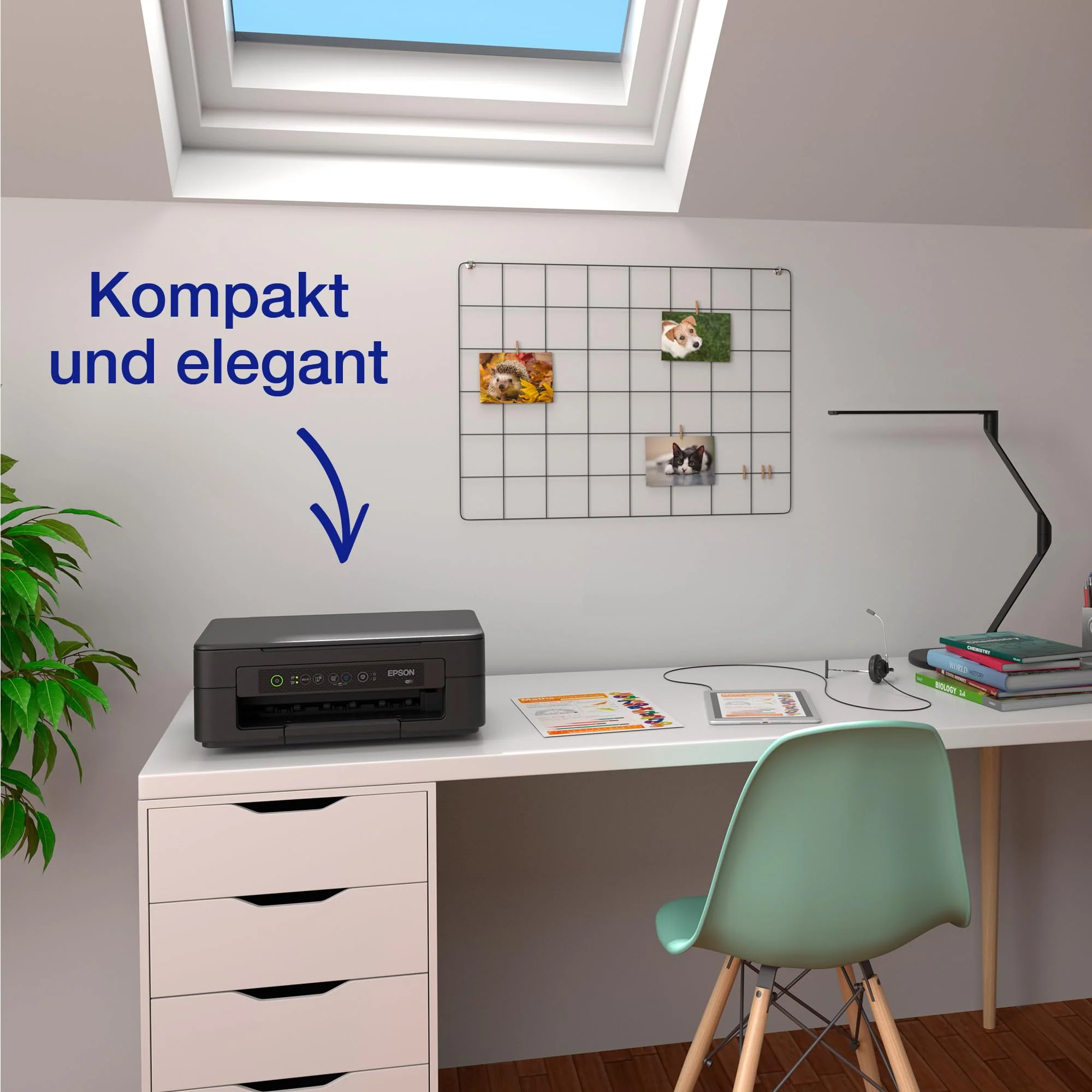 Vorschaubild 7