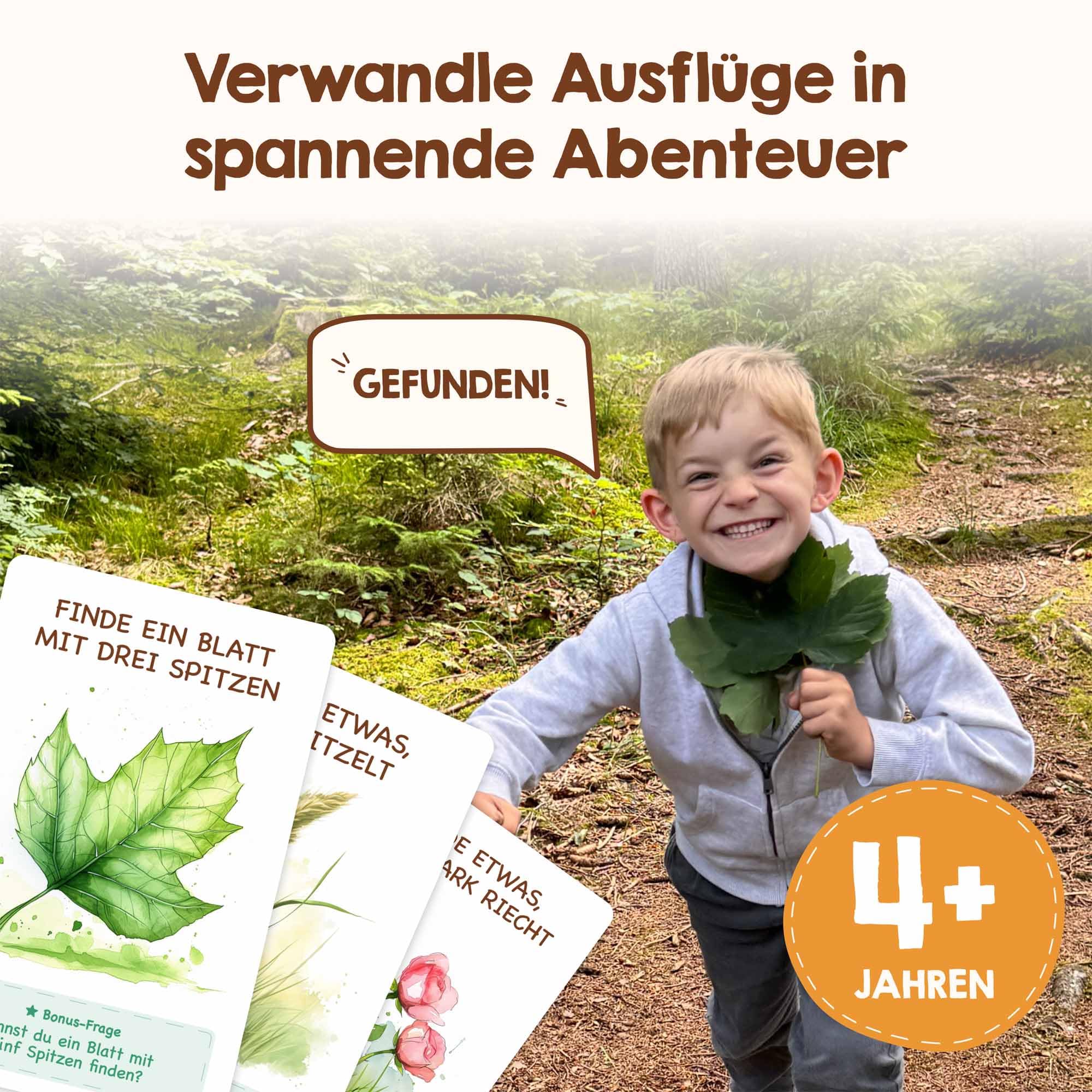 Vorschaubild 6