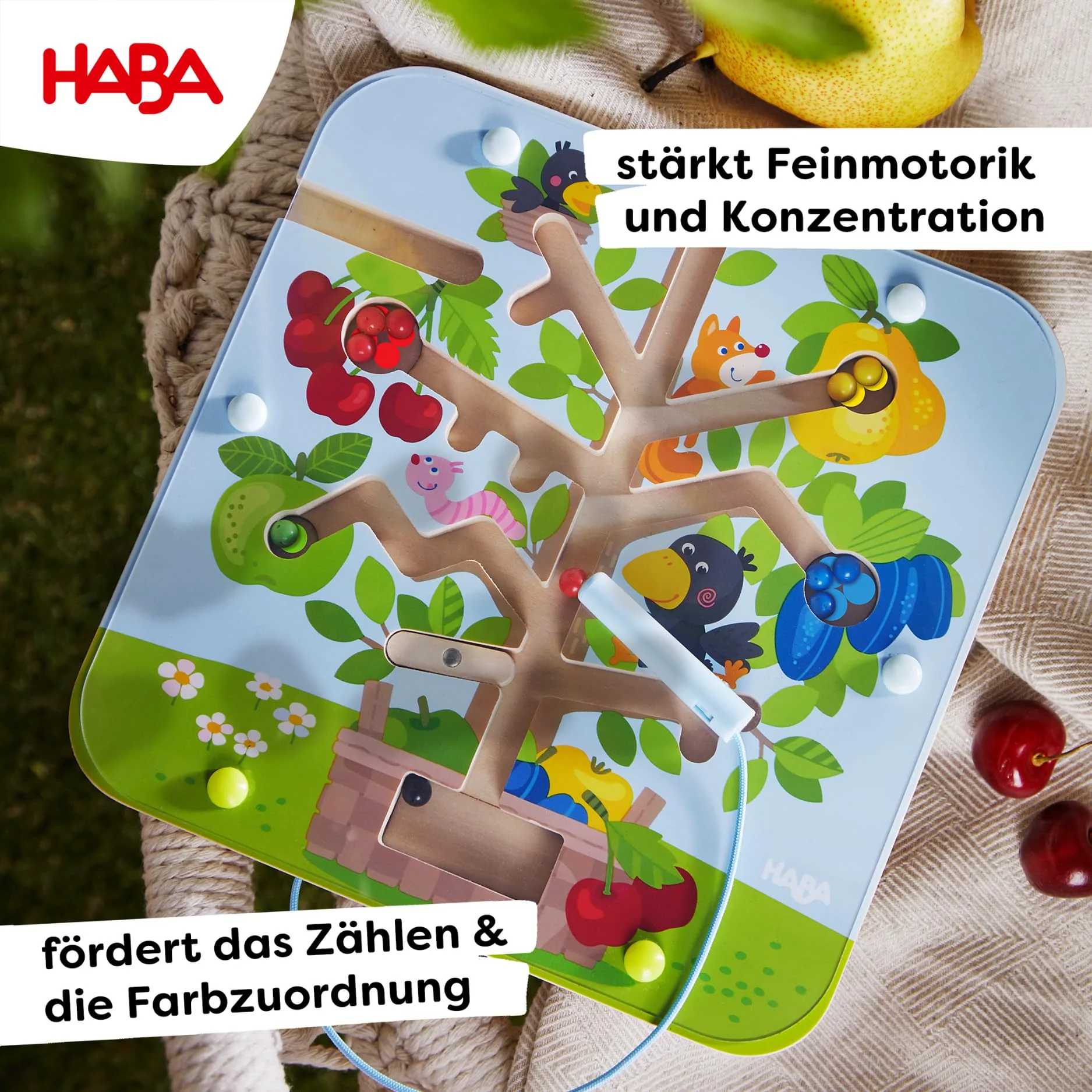 Vorschaubild 6