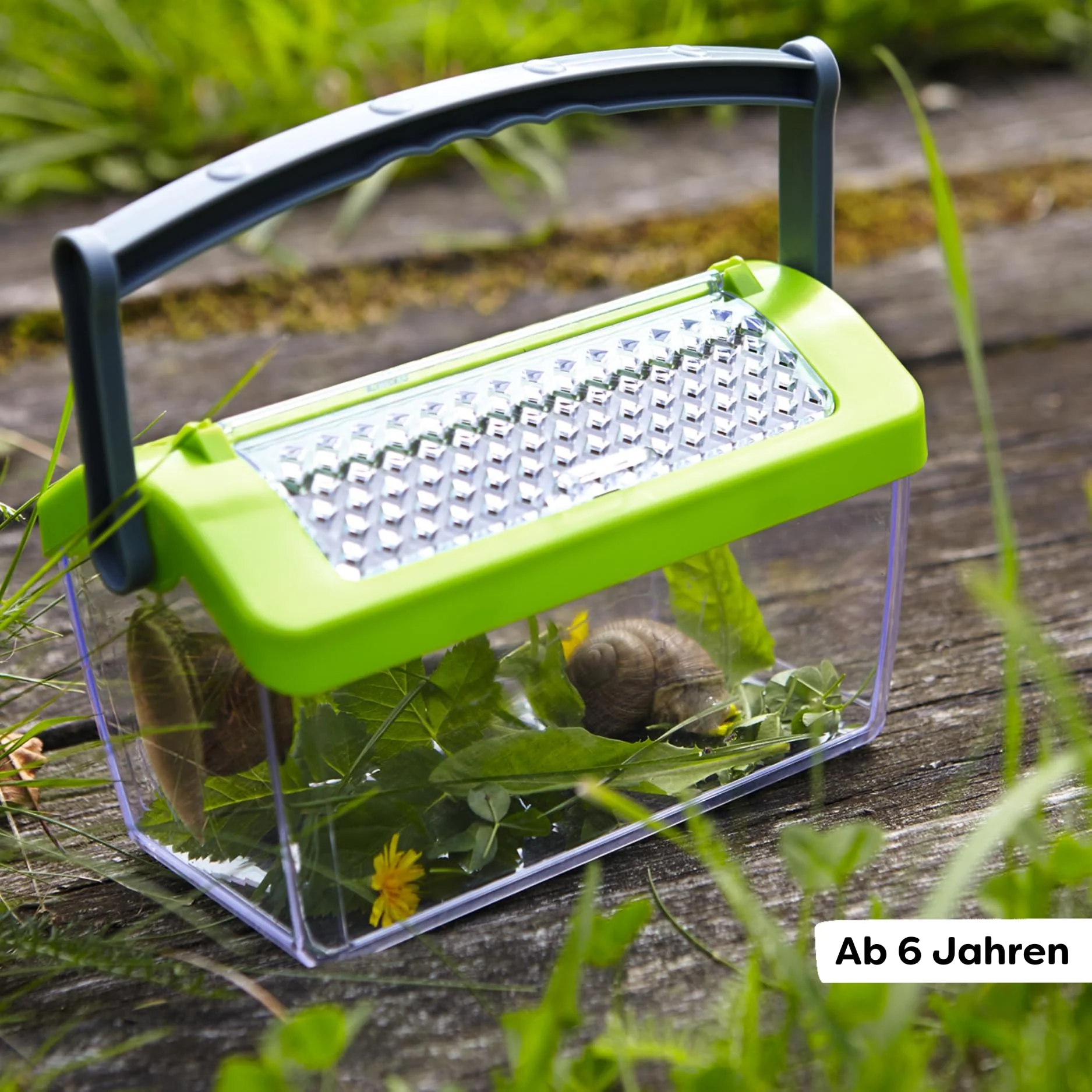 Vorschaubild 3