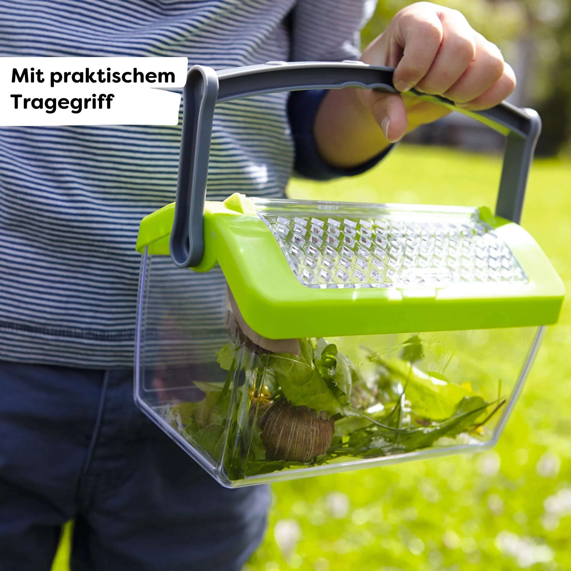 Vorschaubild 6