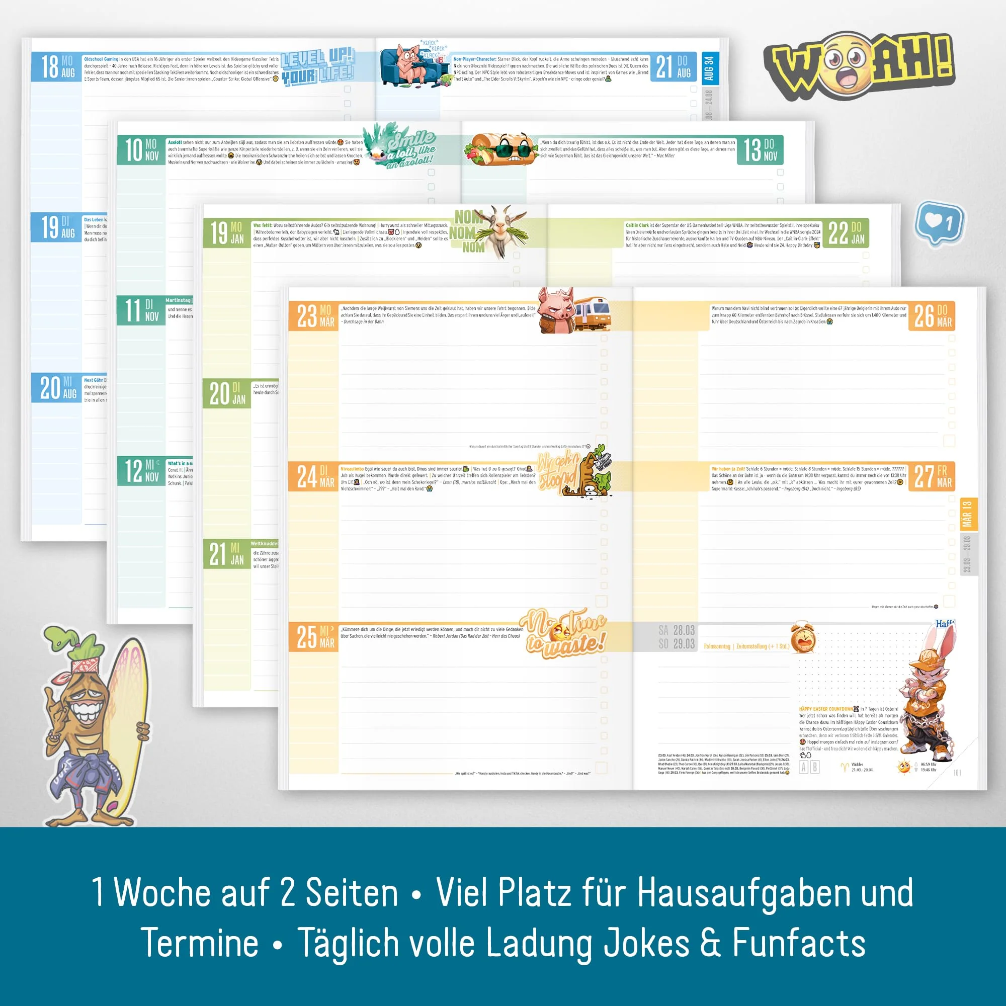 Vorschaubild 6
