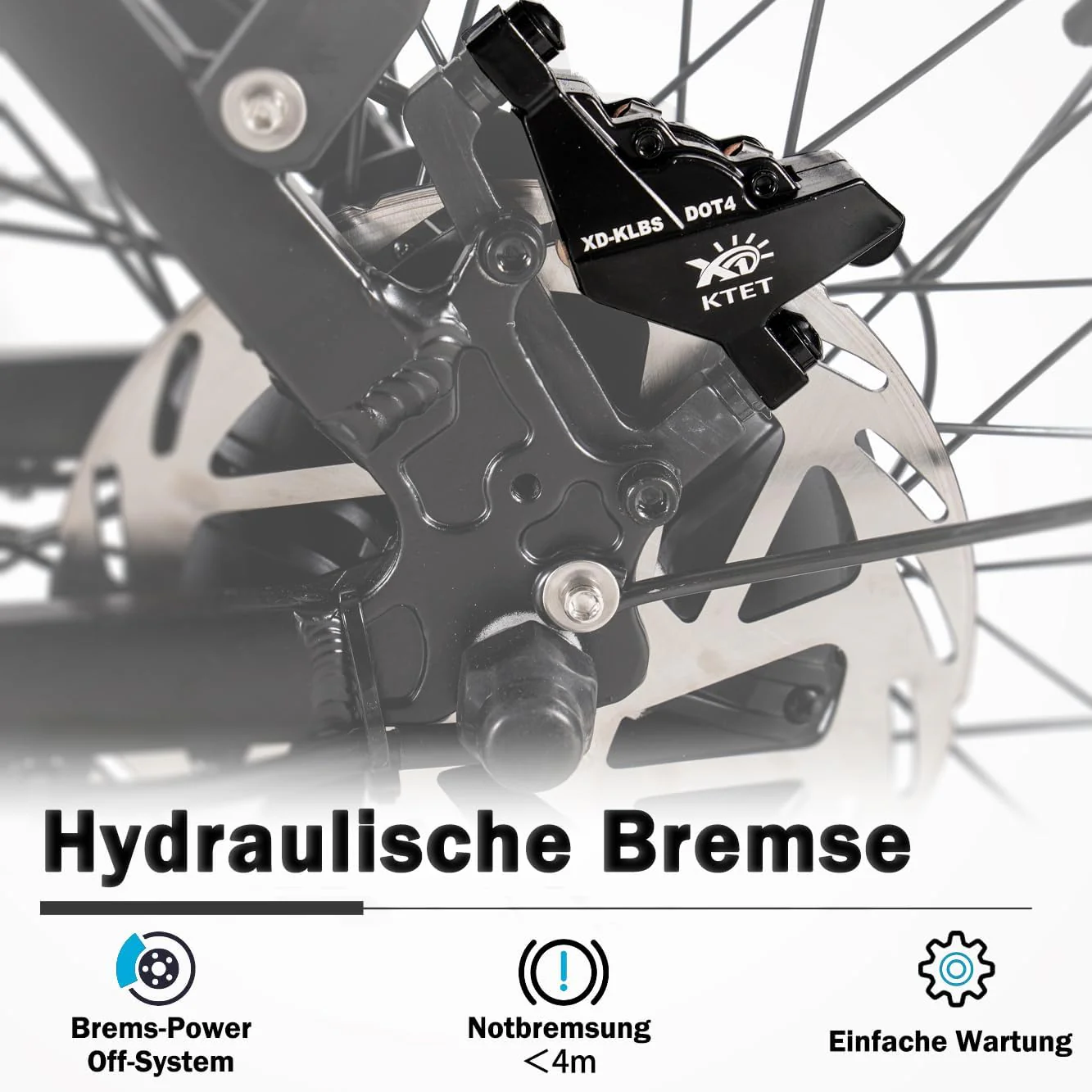 Vorschaubild 10