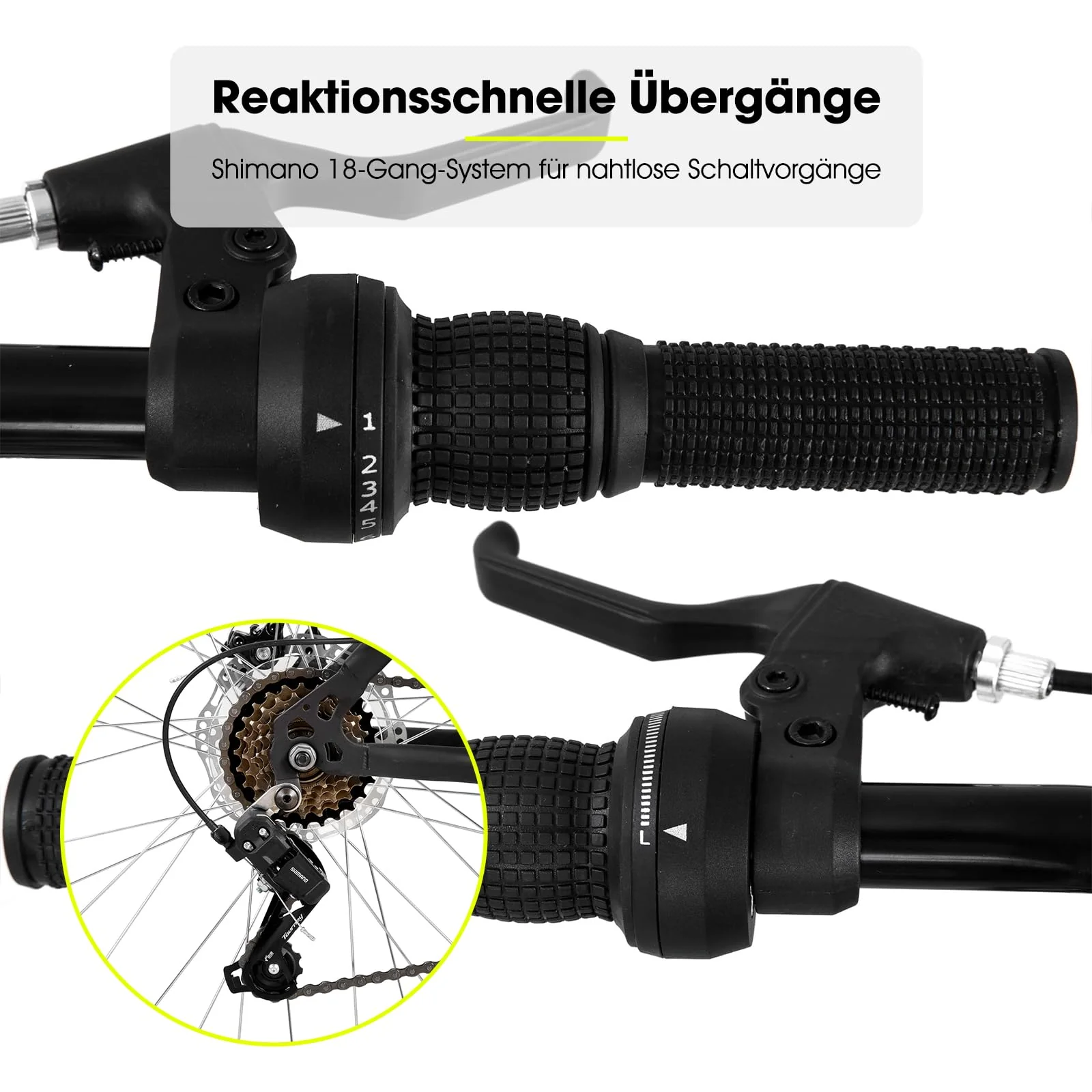 Vorschaubild 5