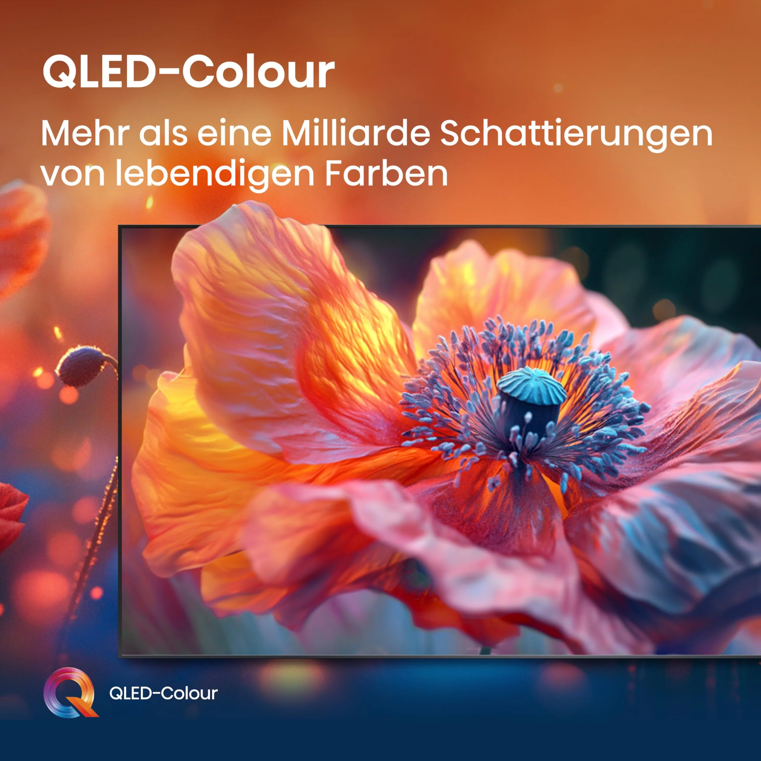 Vorschaubild 9