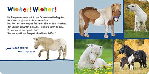 Vorschaubild 3