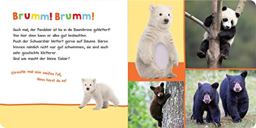 Vorschaubild 5