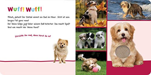 Vorschaubild 6