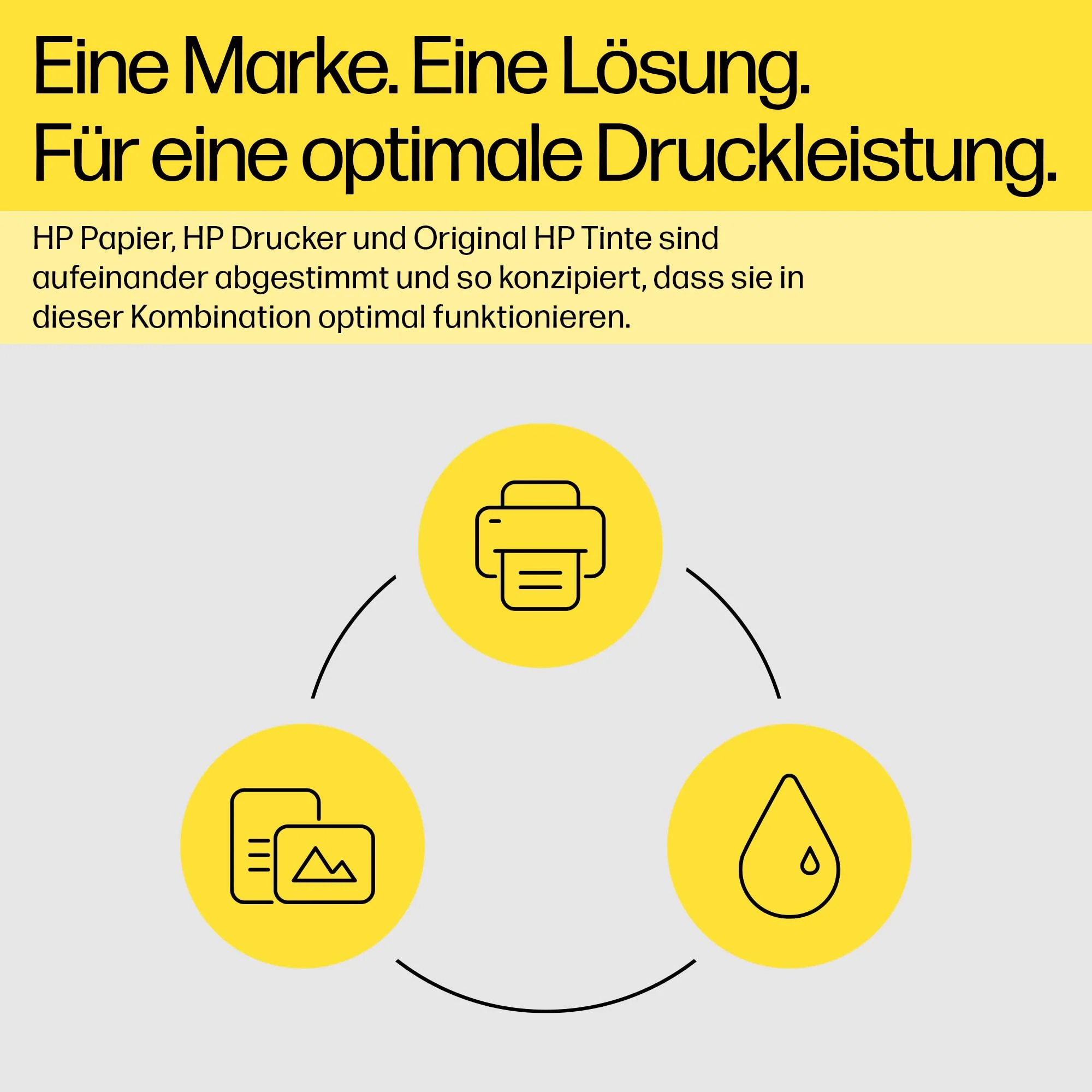 Vorschaubild 10