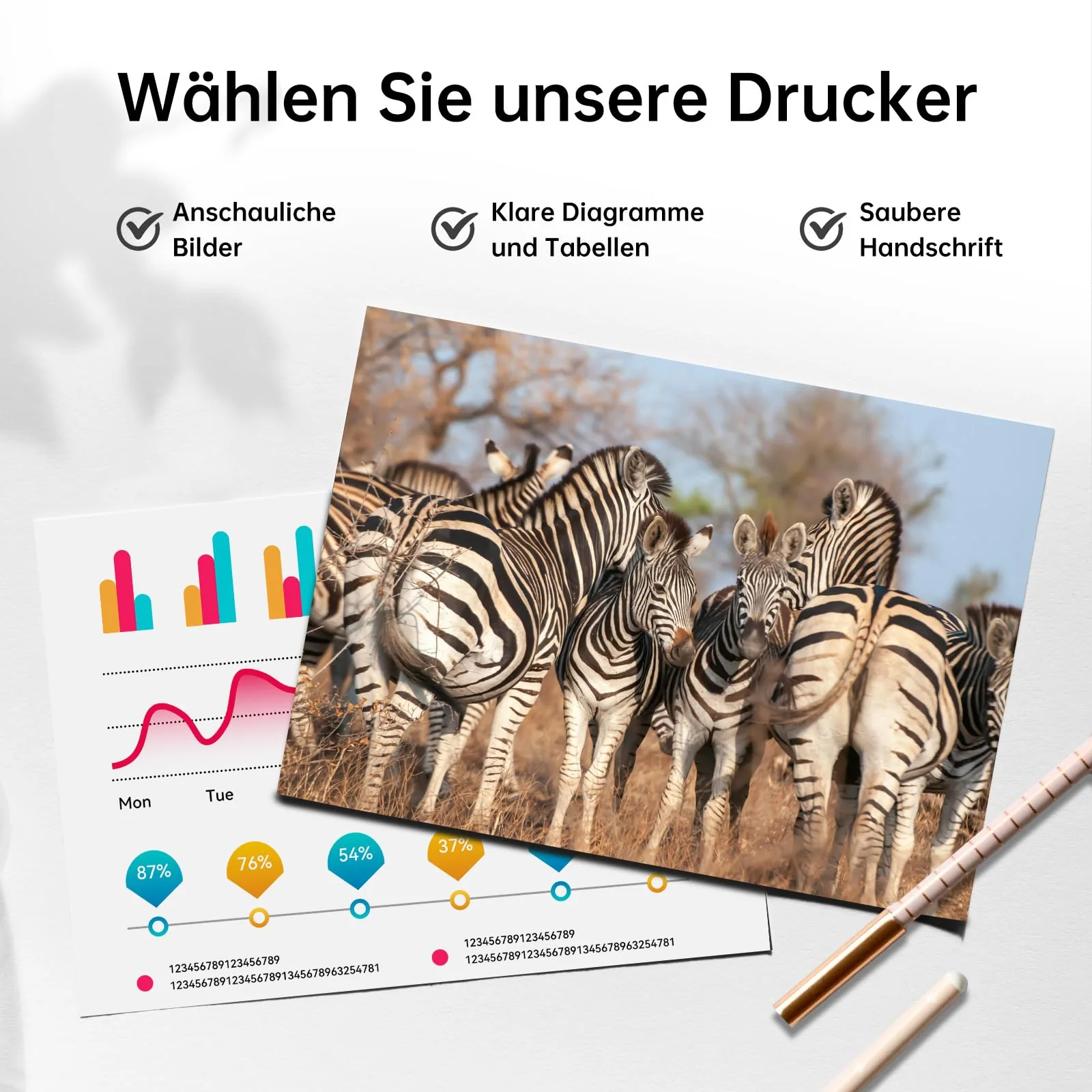 Vorschaubild 5