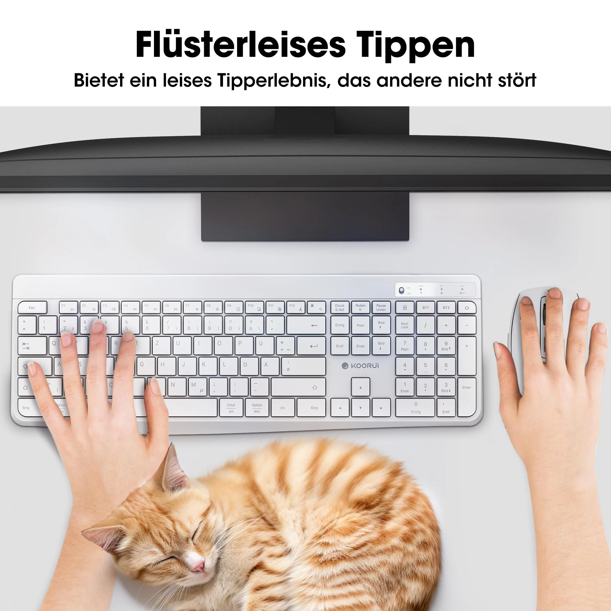 Vorschaubild 5