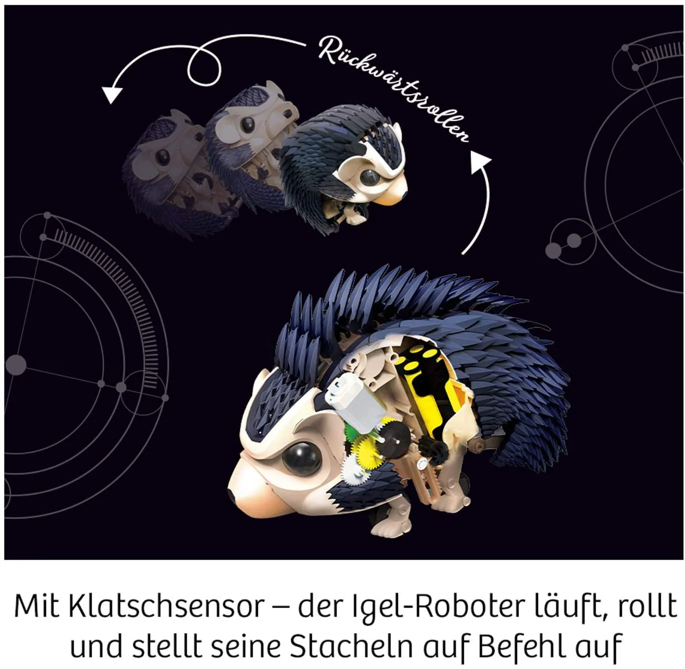 Vorschaubild 6