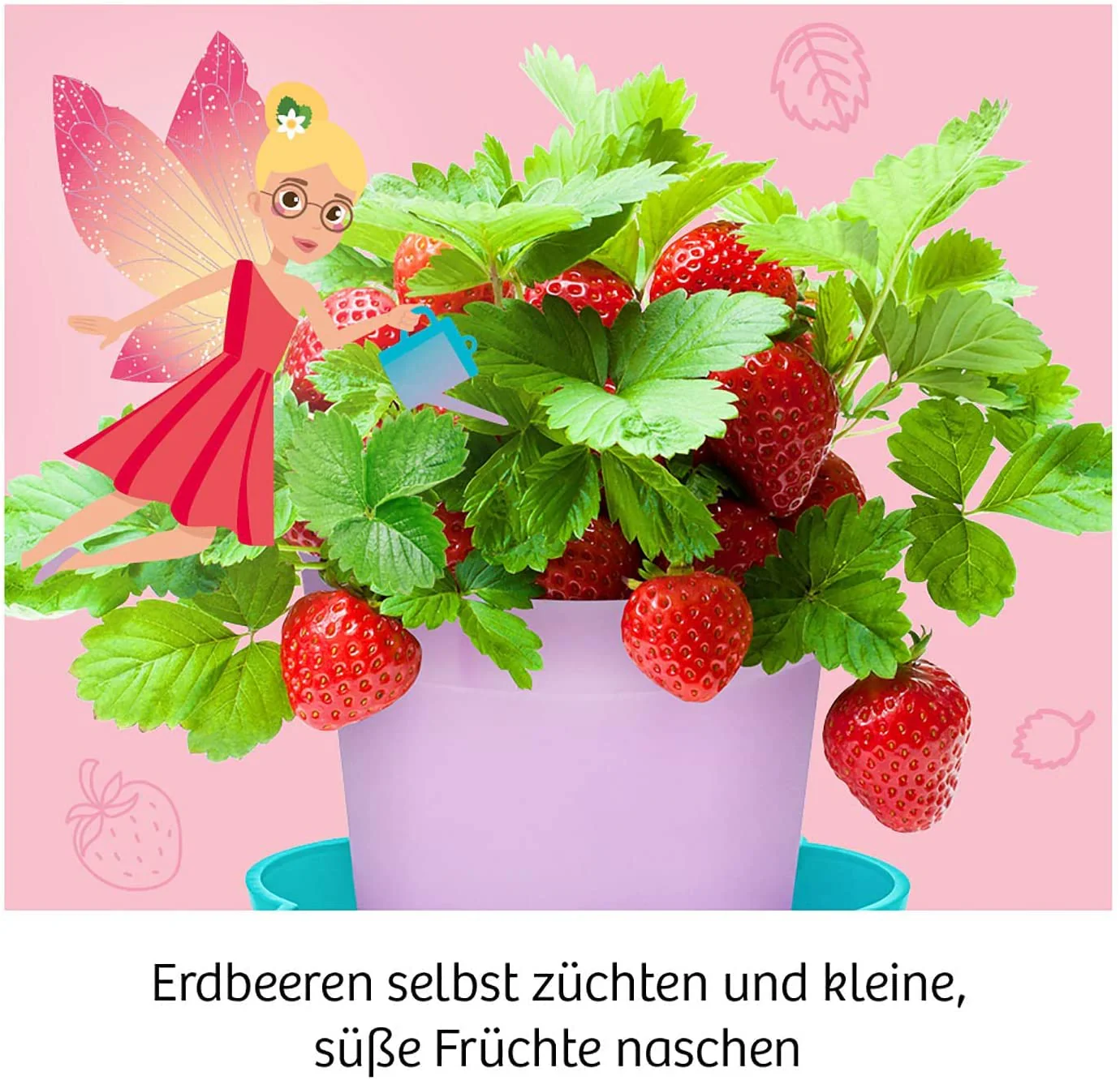 Vorschaubild 6