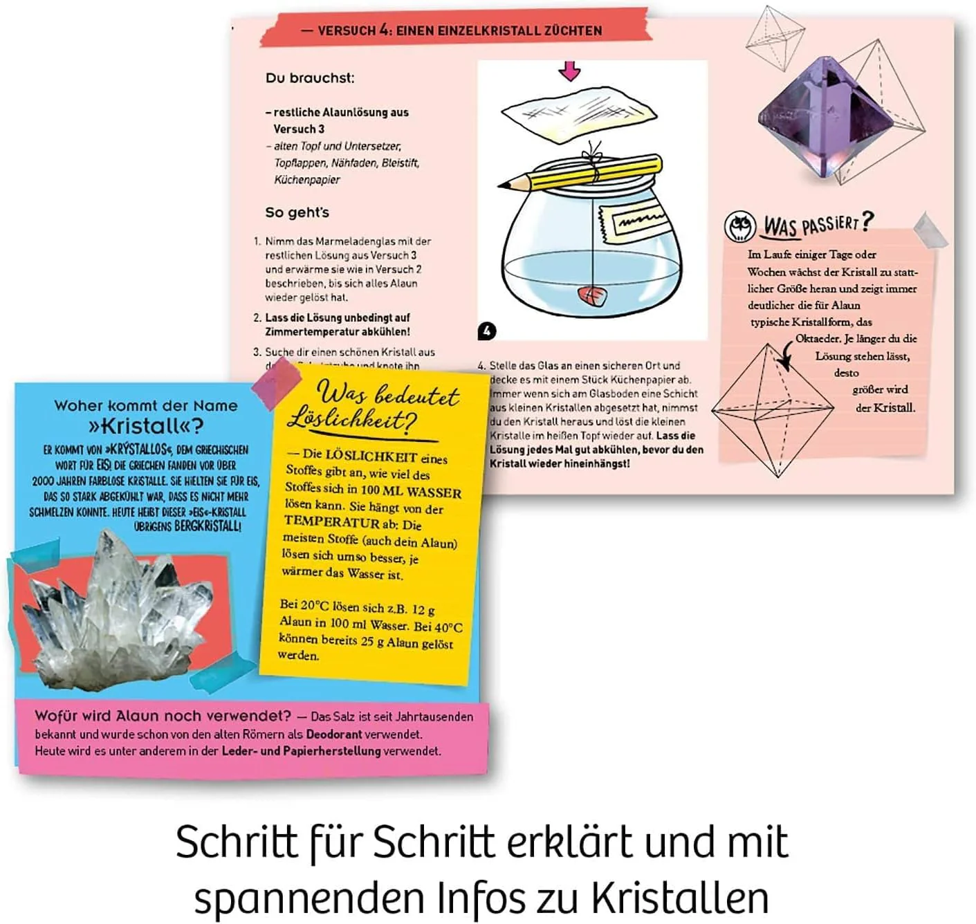 Vorschaubild 5
