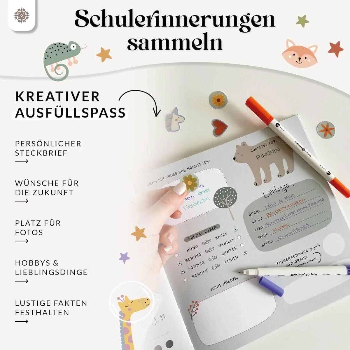 Vorschaubild 5