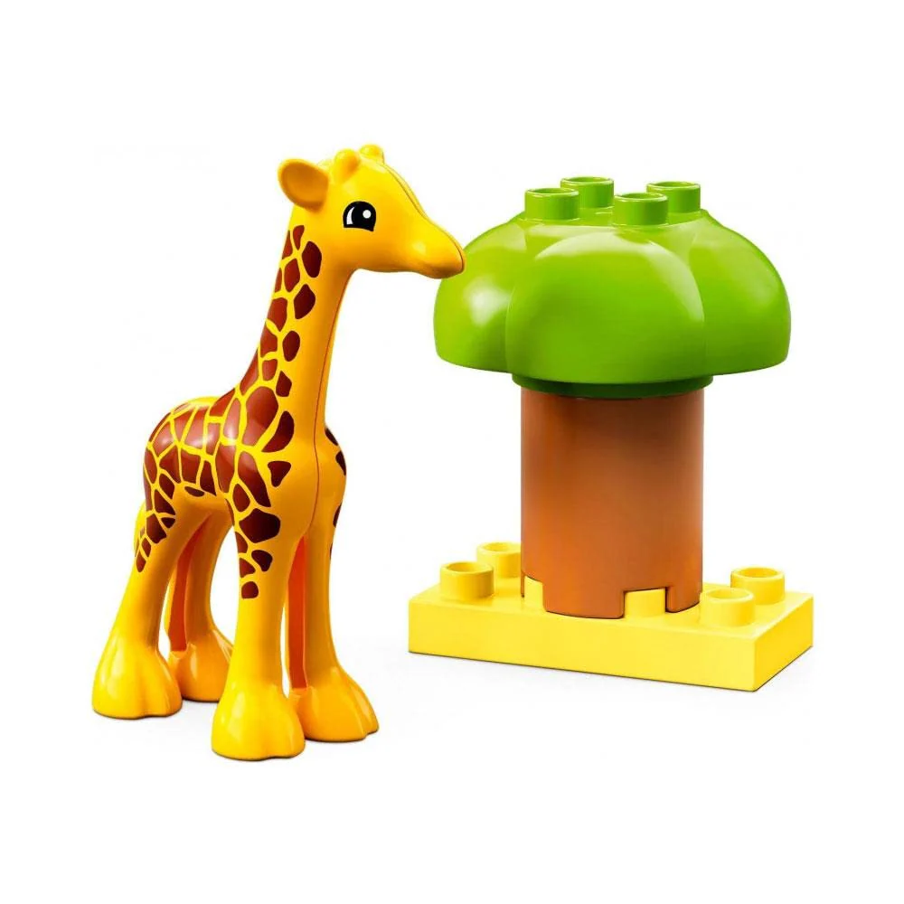 Vorschaubild 7