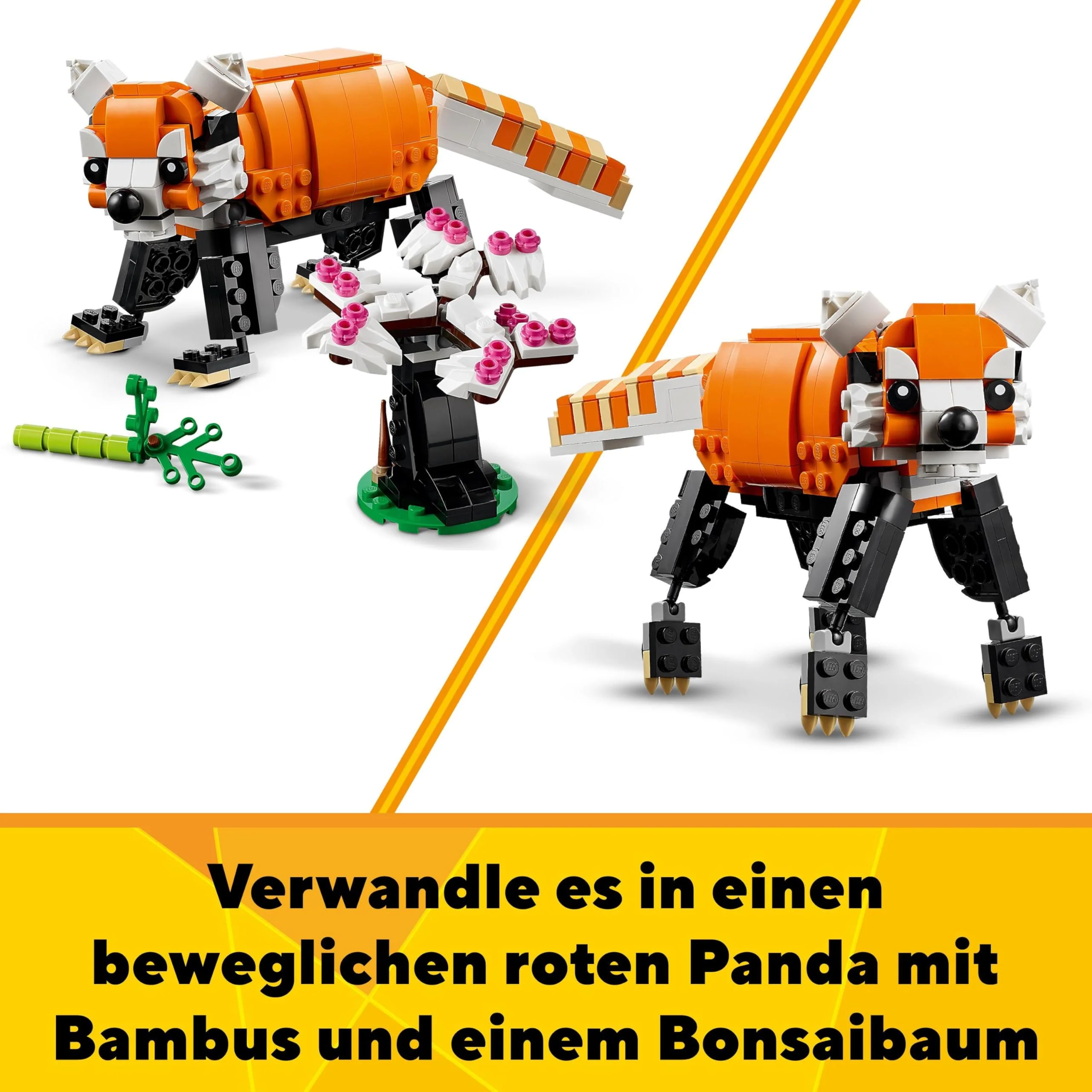 Vorschaubild 5