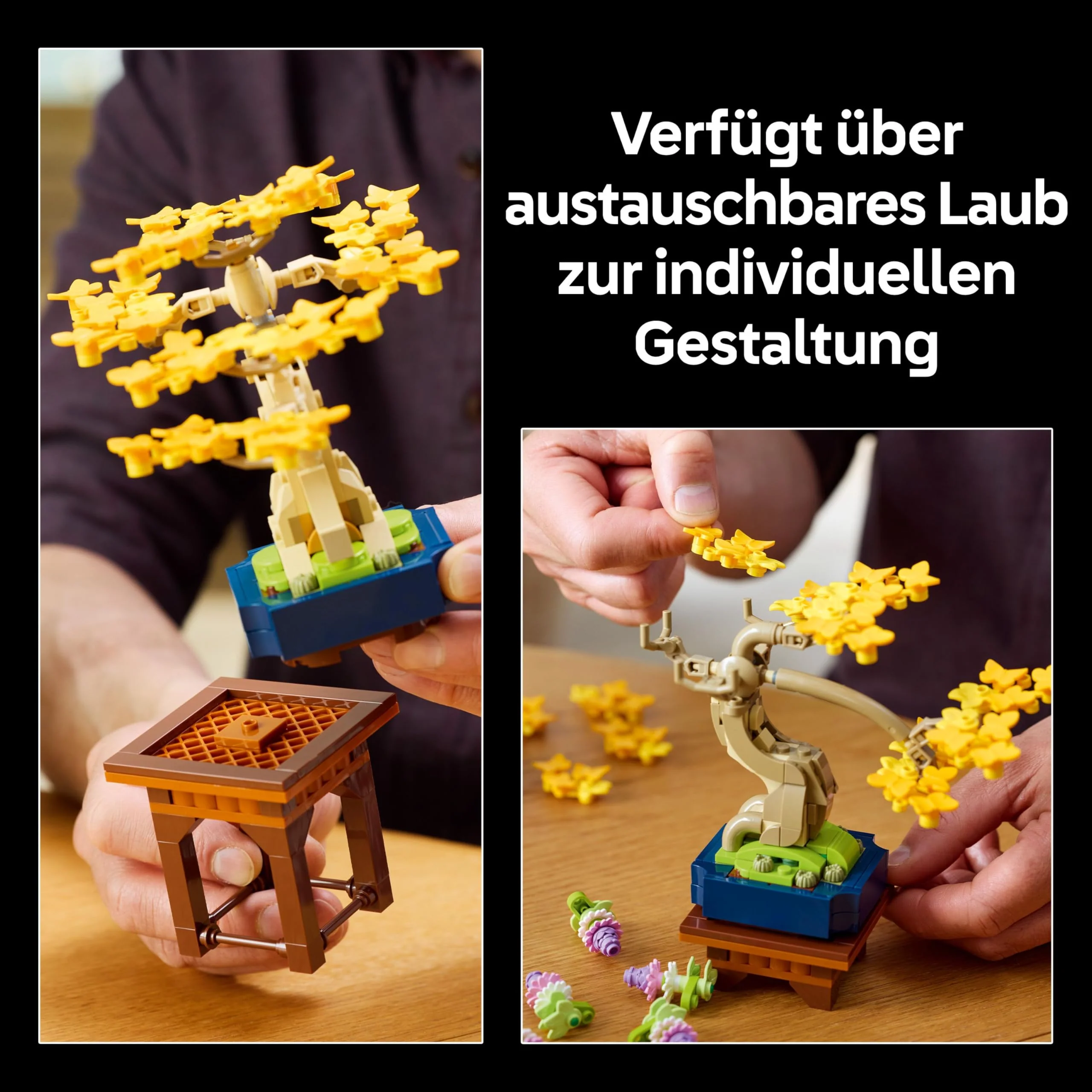 Vorschaubild 8