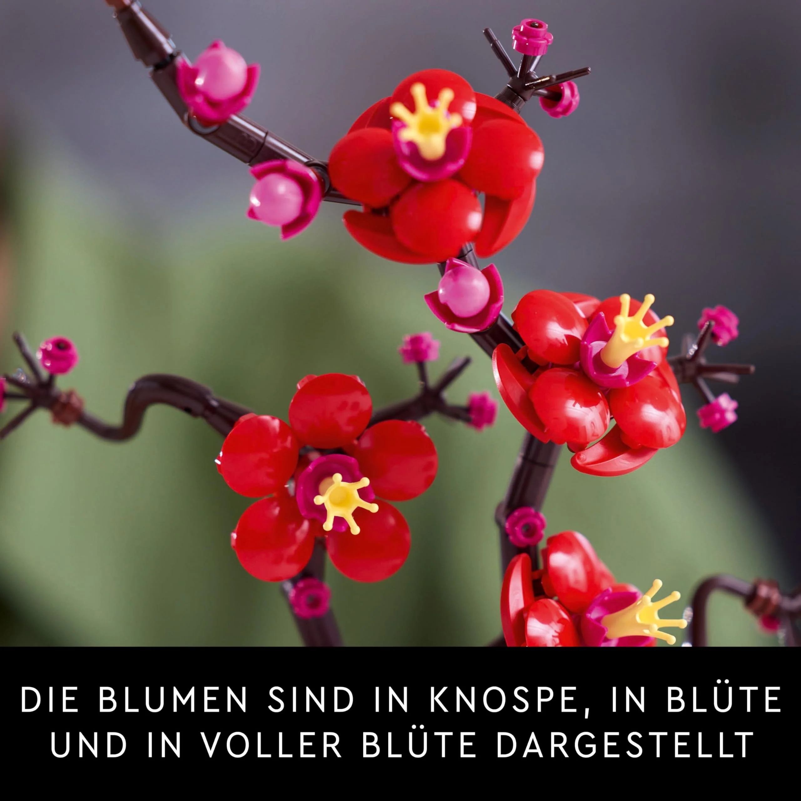 Vorschaubild 9