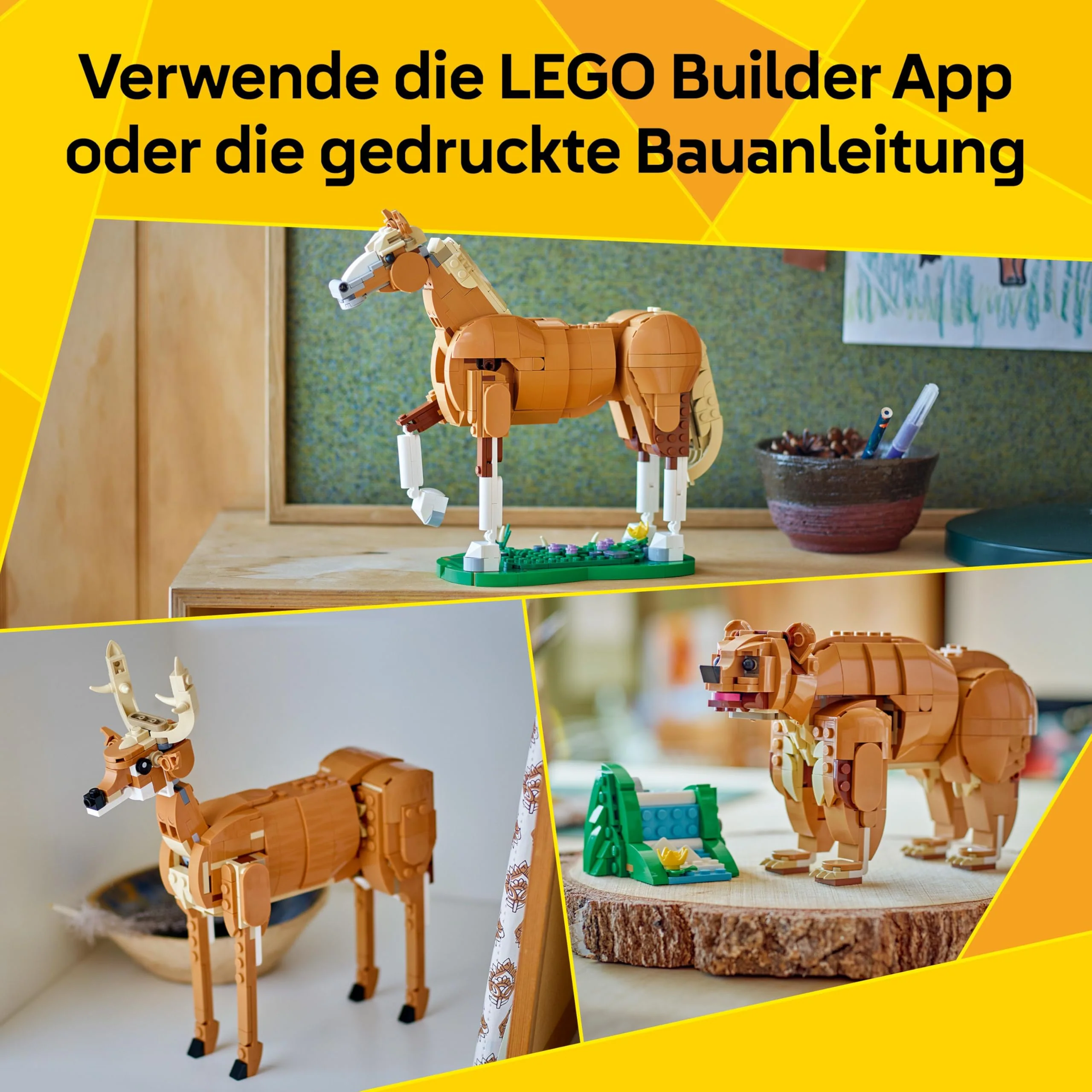 Vorschaubild 5