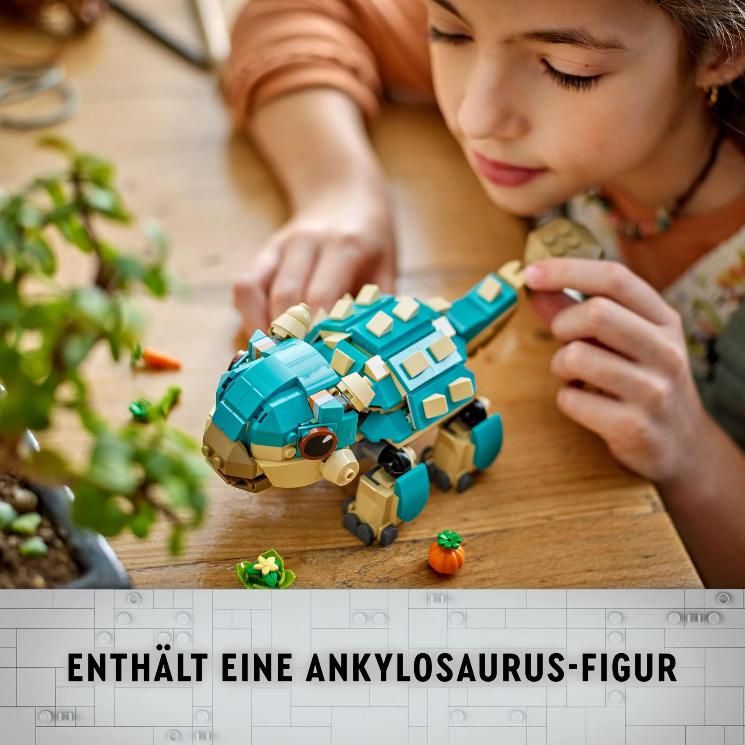 Vorschaubild 8
