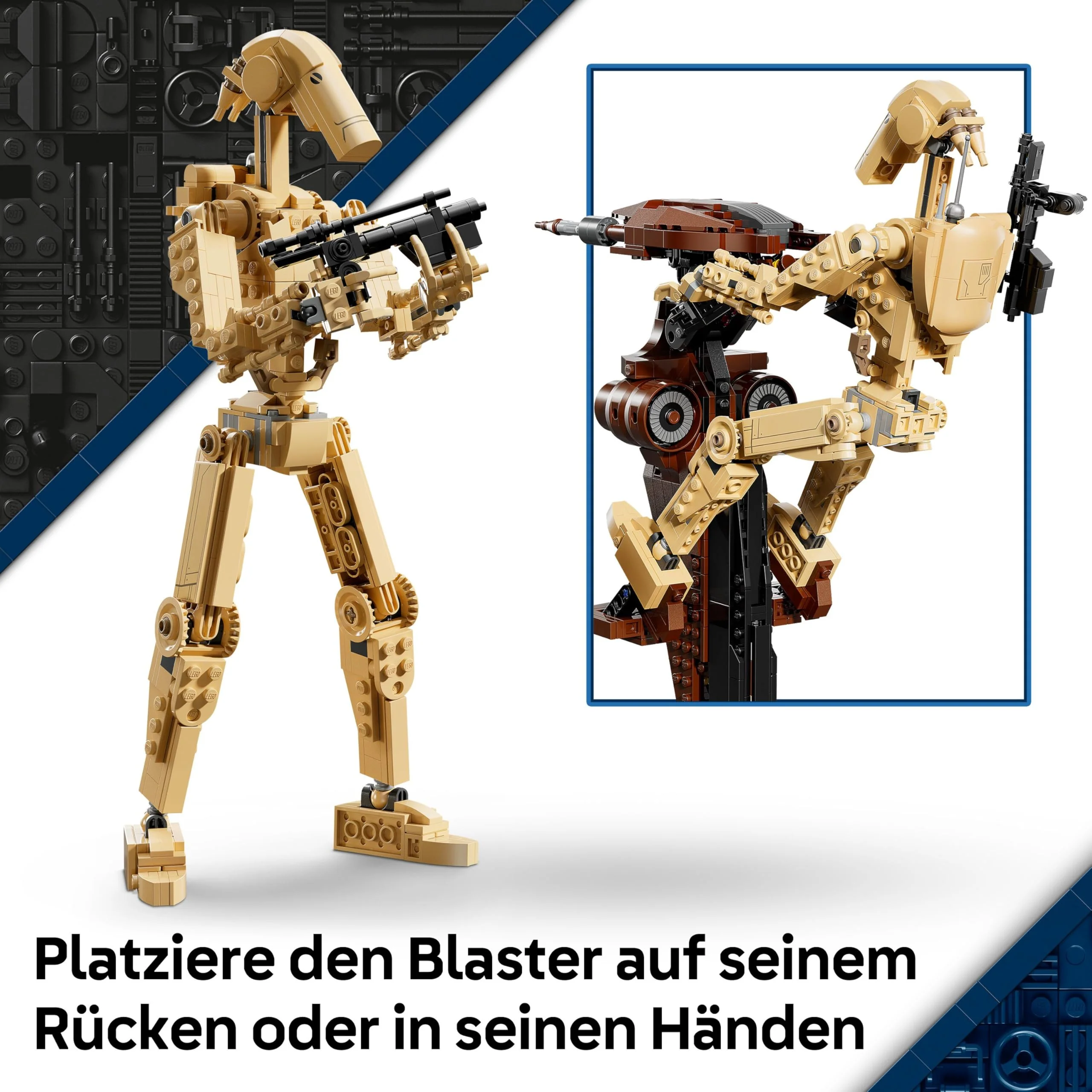 Vorschaubild 5