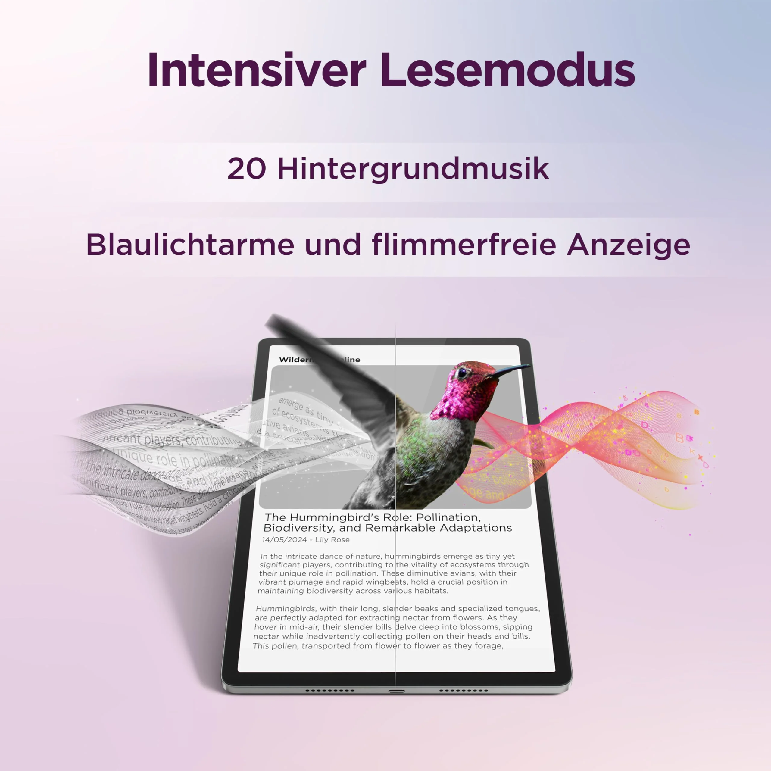 Vorschaubild 8