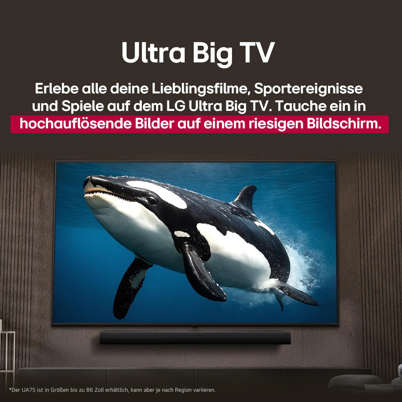 Vorschaubild 17