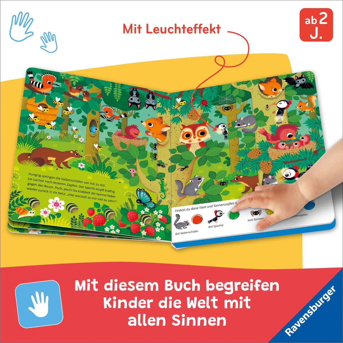 Vorschaubild 5