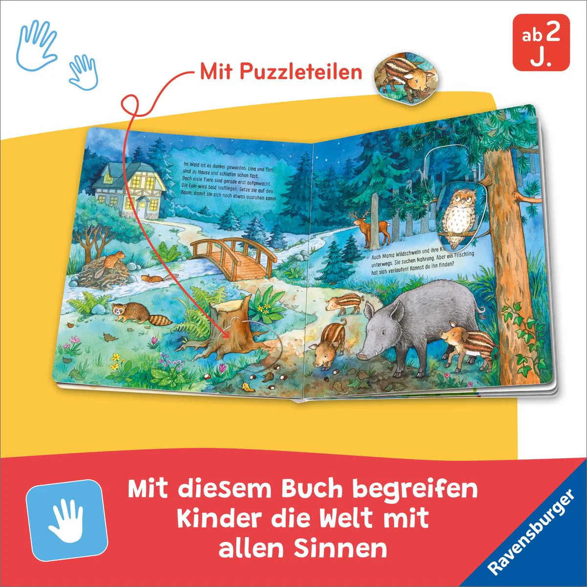Vorschaubild 6