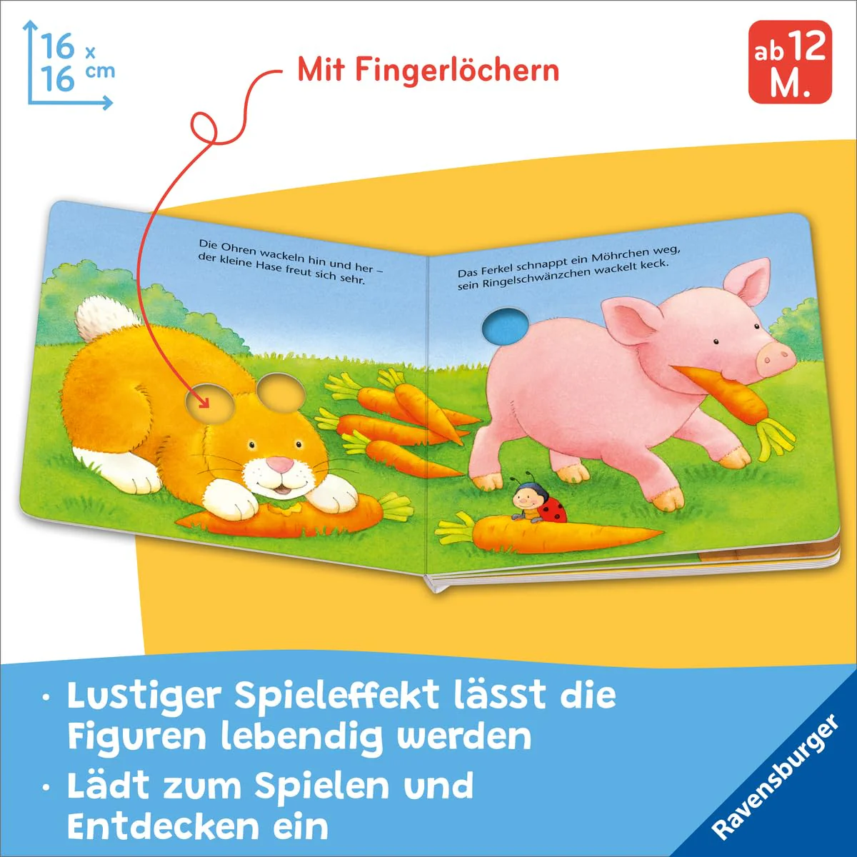 Vorschaubild 6
