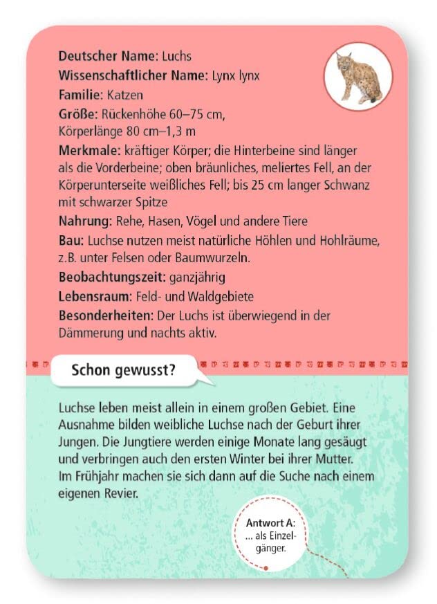 Vorschaubild 6
