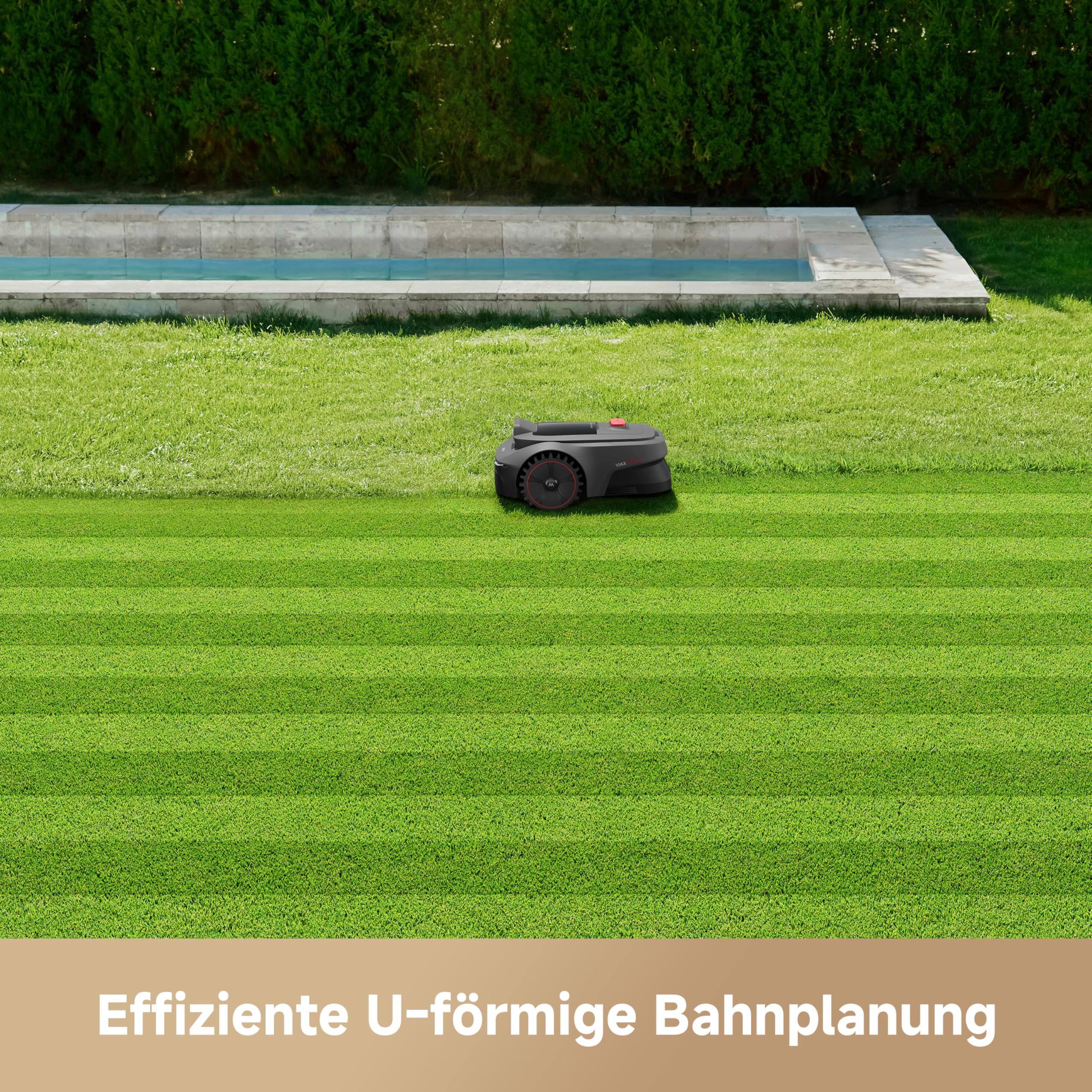 Vorschaubild 4