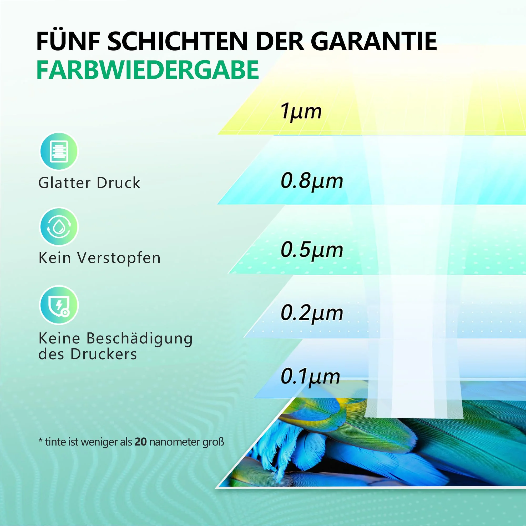 Vorschaubild 5