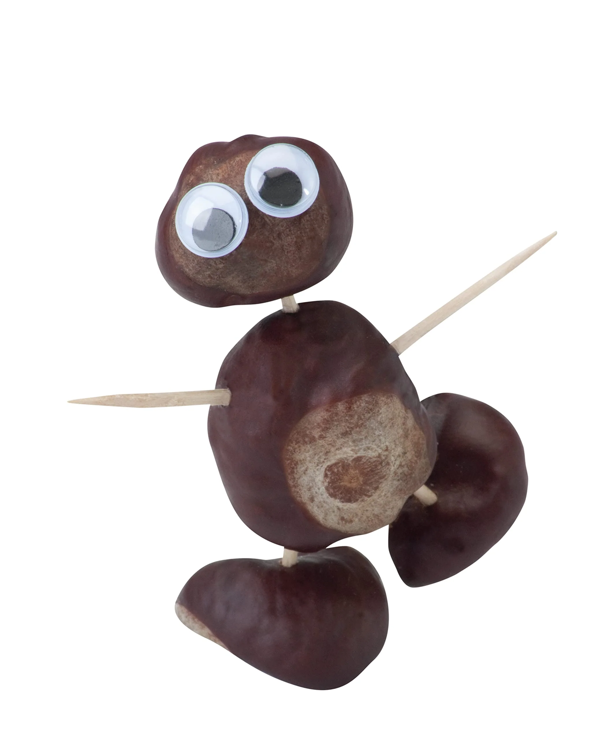 Vorschaubild 5