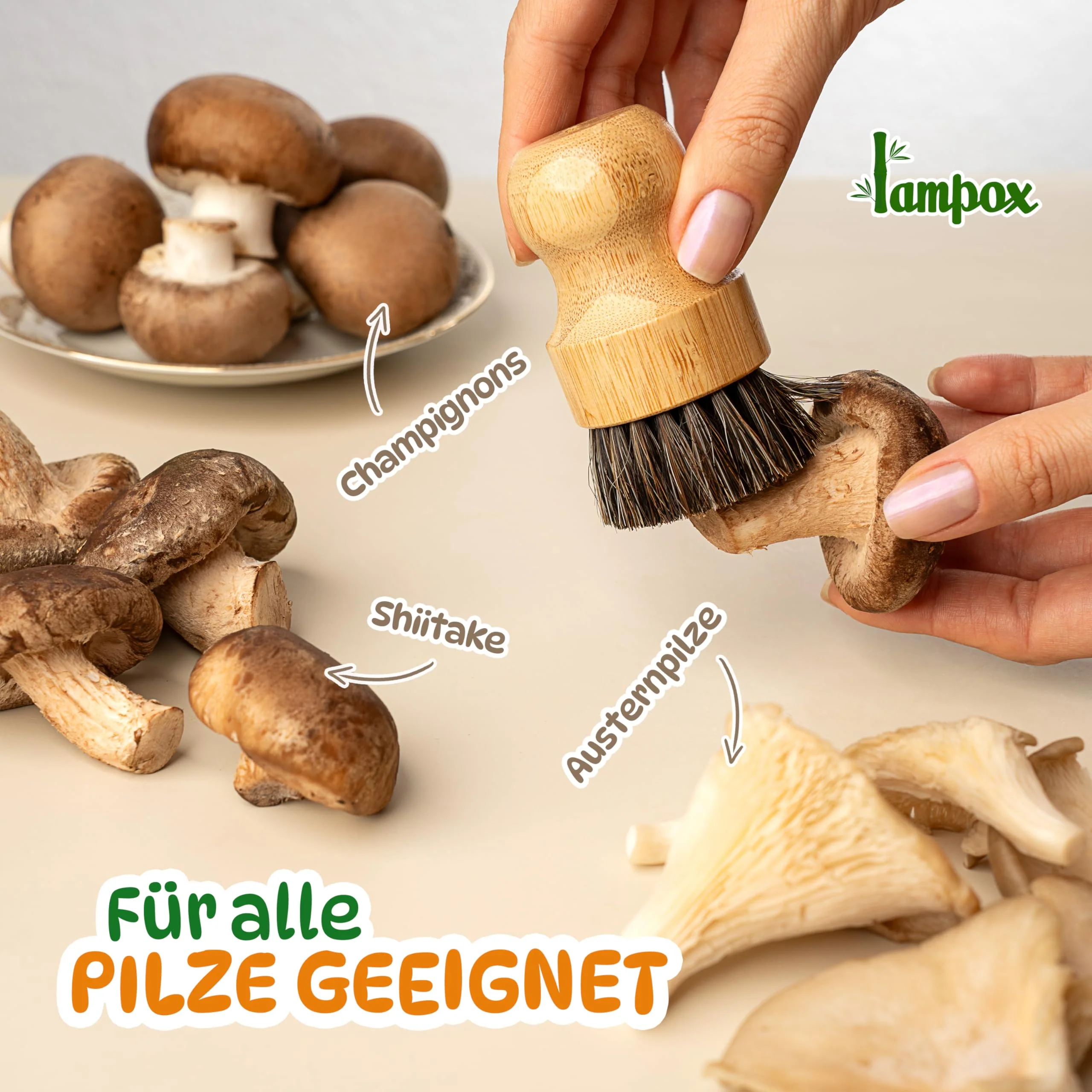 Vorschaubild 5